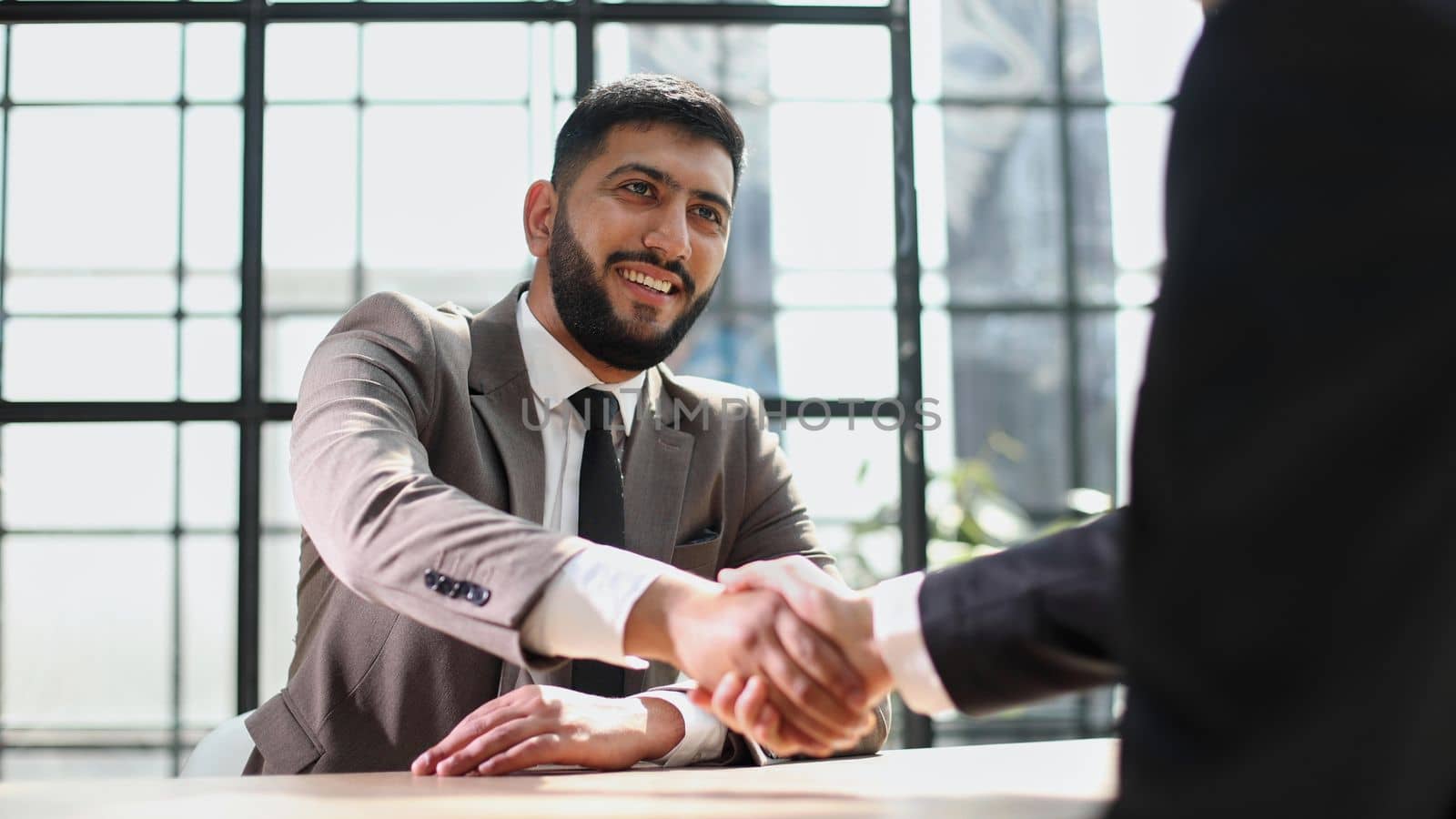 Successful business people handshaking after good deal.