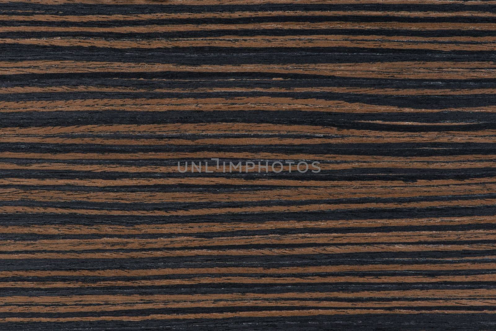 Dark ebony background, exclusive natural ebony texture with black and brown texture. Photo of natural wood veneer in high resolution