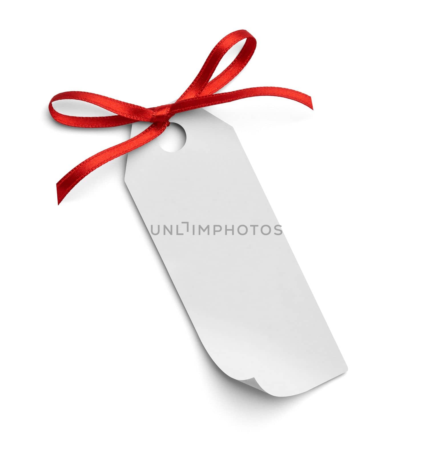 ribbon bow card note chirstmas celebration greeting by Picsfive