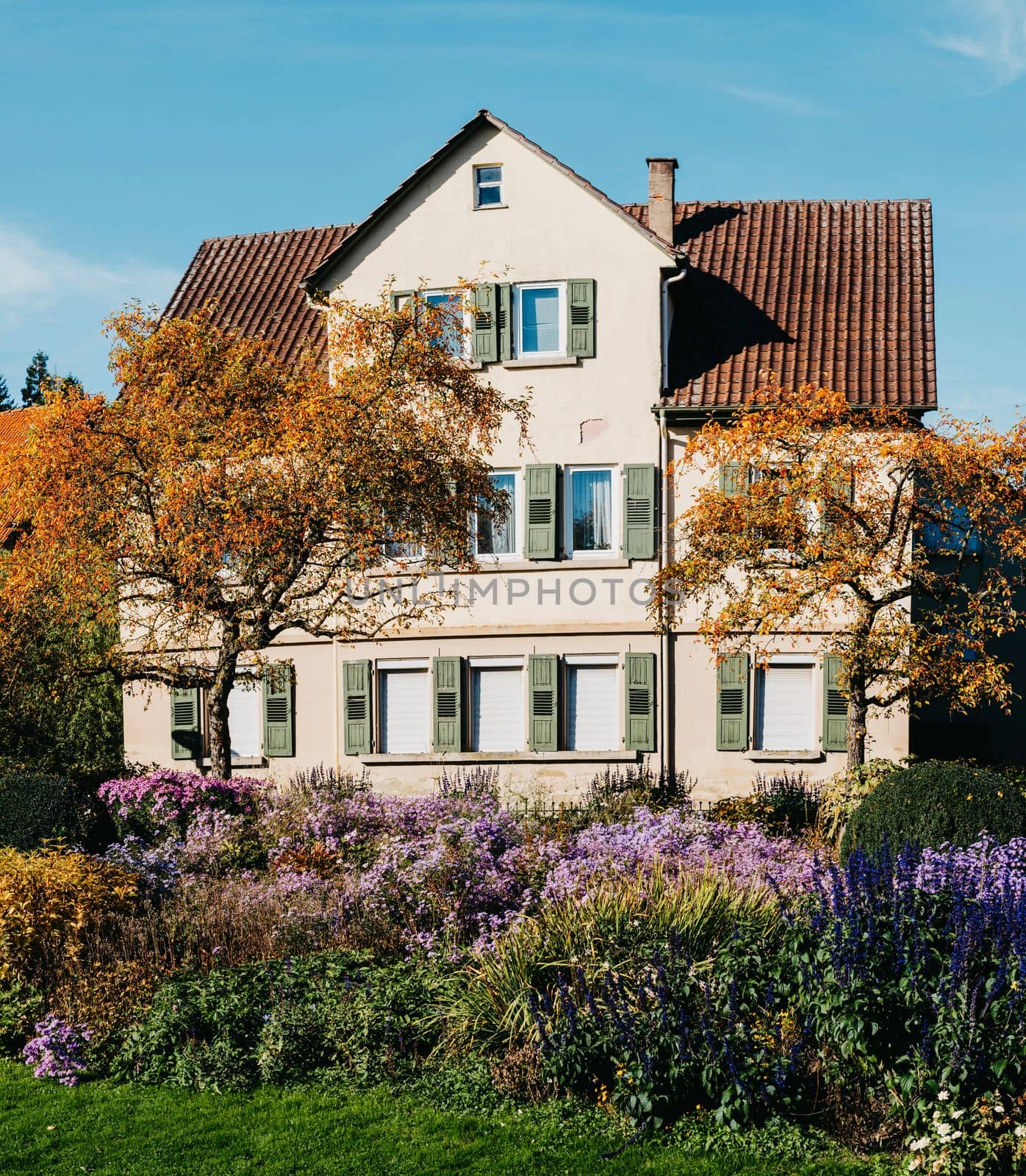 House with nice garden in fall. Flowers in the Park. Bietigheim-Bissingen. Germany, Europe. Autumn Park and house, nobody, bush and grenery