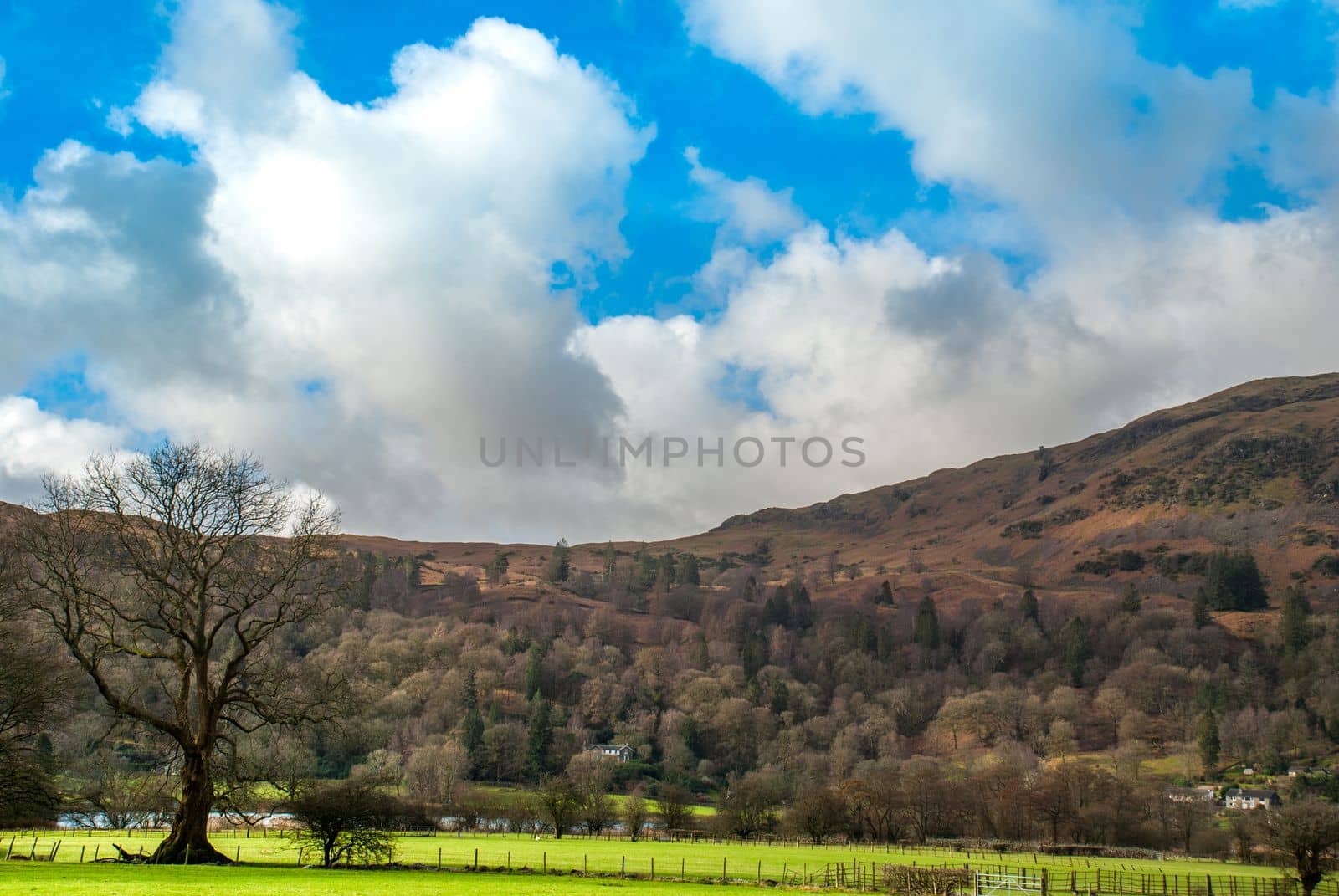 Sheep farm with a mountain backdrop in the Lake District.