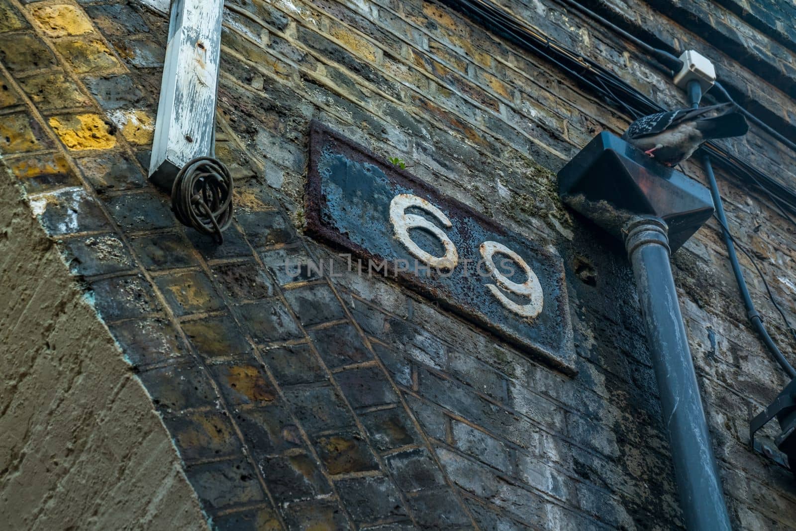 London, UK- Feb 24, 2019 : The pigeon is on the pipe in front of the warehouse under the bridge.