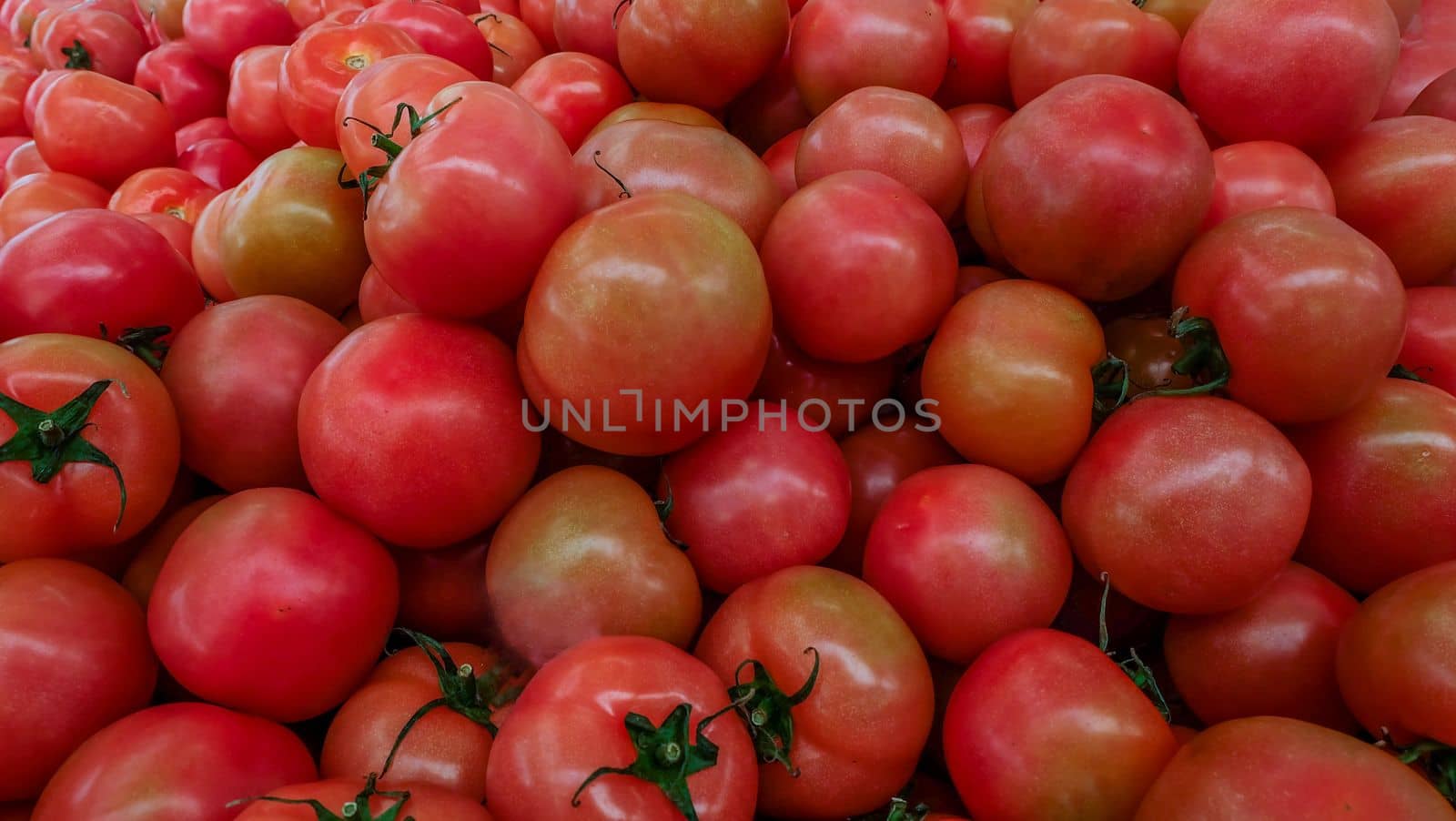 red tomatoes background. Group of tomatoes Suitable for making background images.