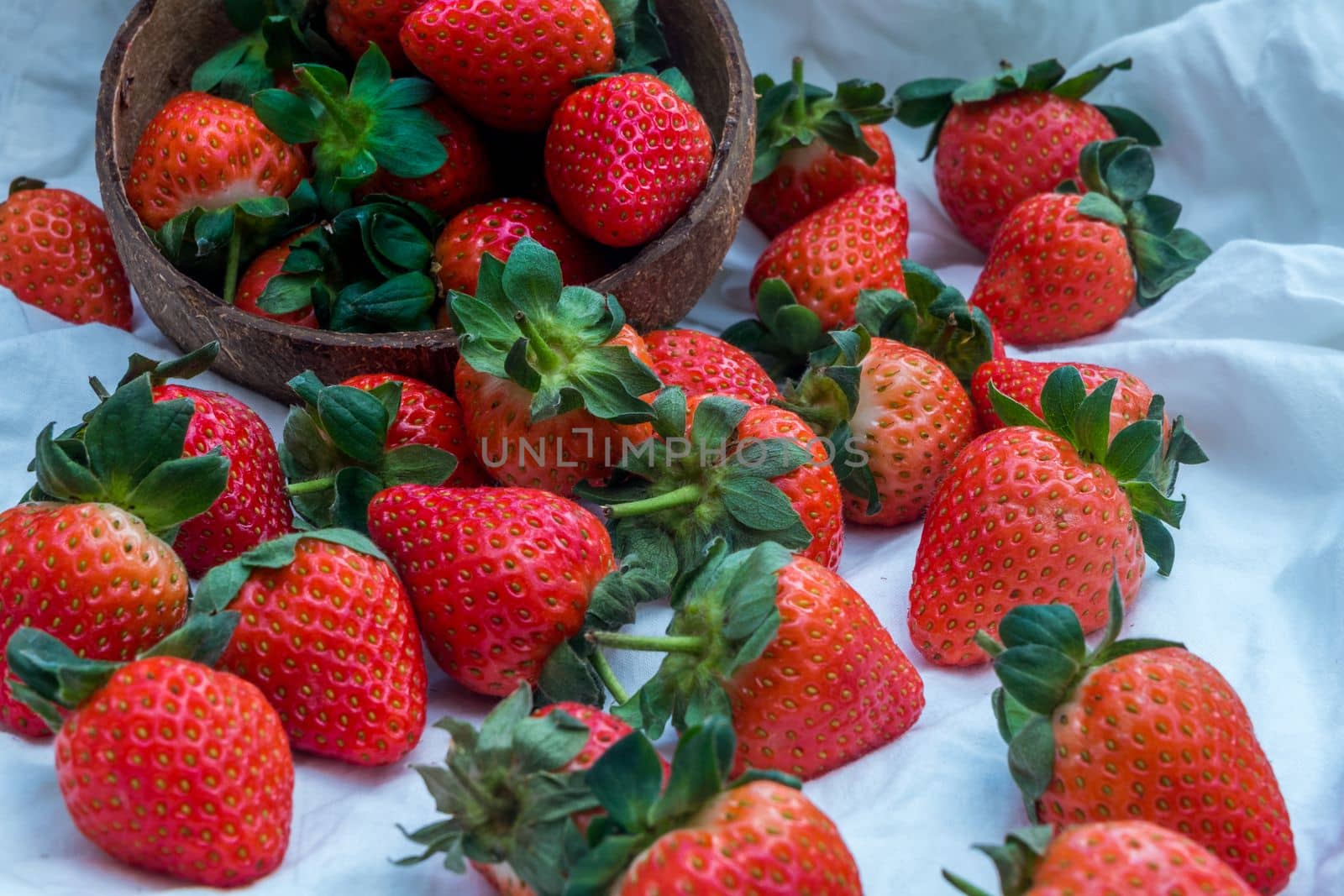 Fresh strawberries in a coconut shell on white background.