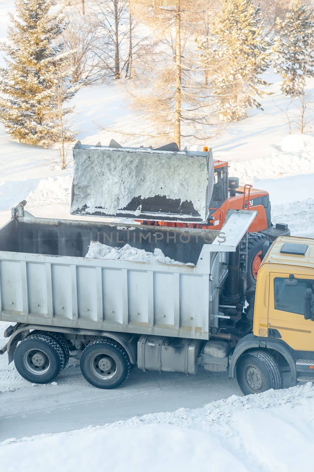 Big orange tractor cleans up snow from the road and loads it into the truck. Cleaning and cleaning of roads in the city from snow in winter. Snow removal after snowfall and blizzards.