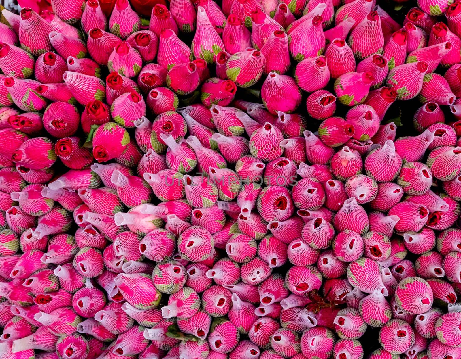 Full-frame close-up of stack of rose flower by Satakorn