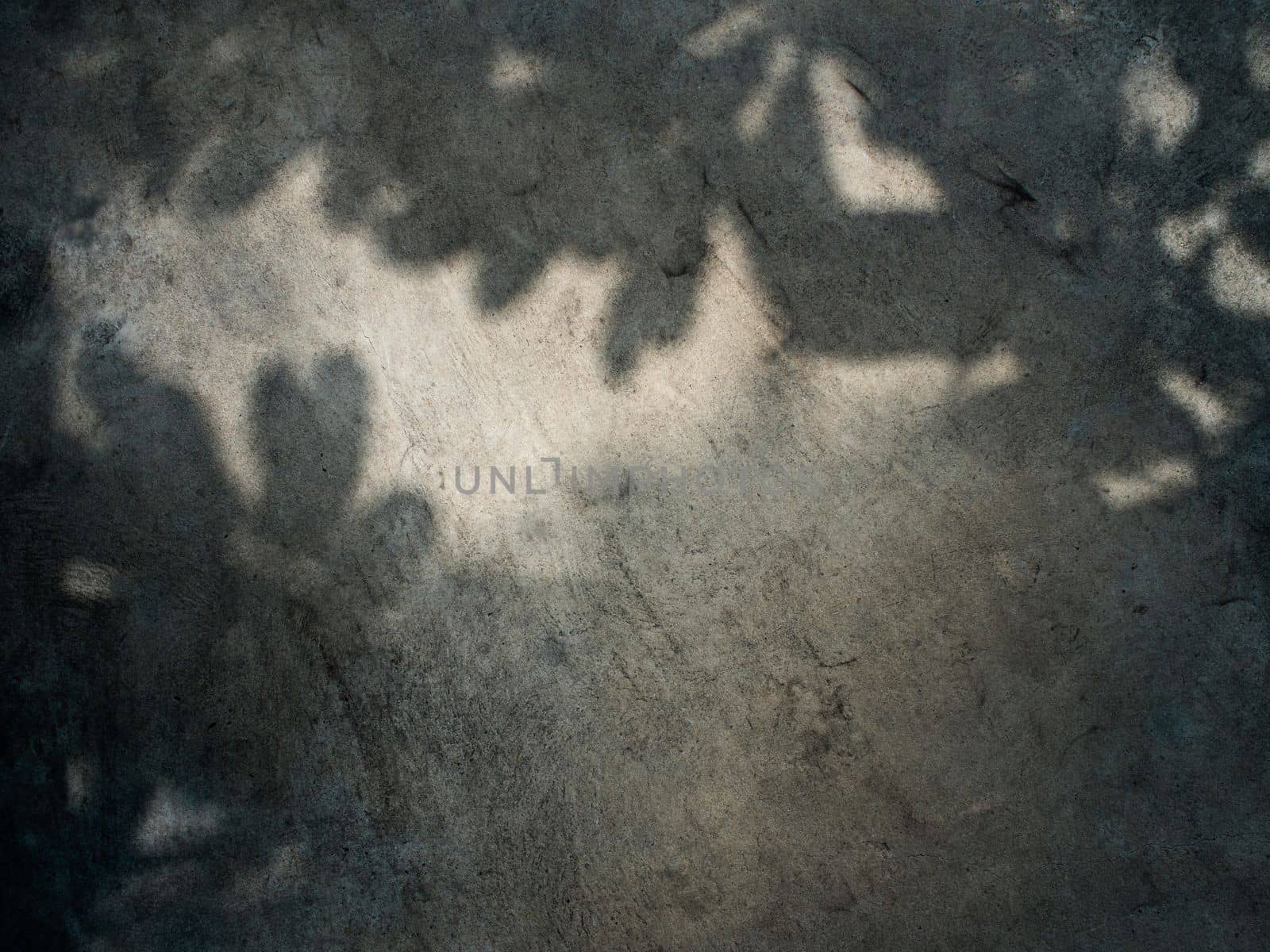 The Shadow of leaves and tree on concrete floor