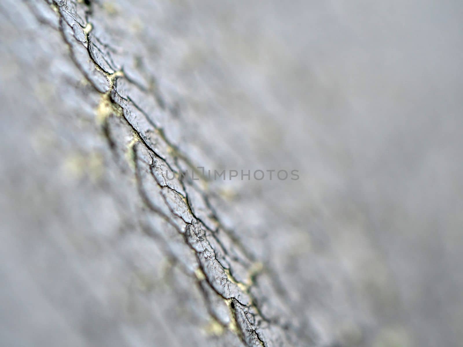 Close-up the cracked on the surface of synthetic leather by Satakorn