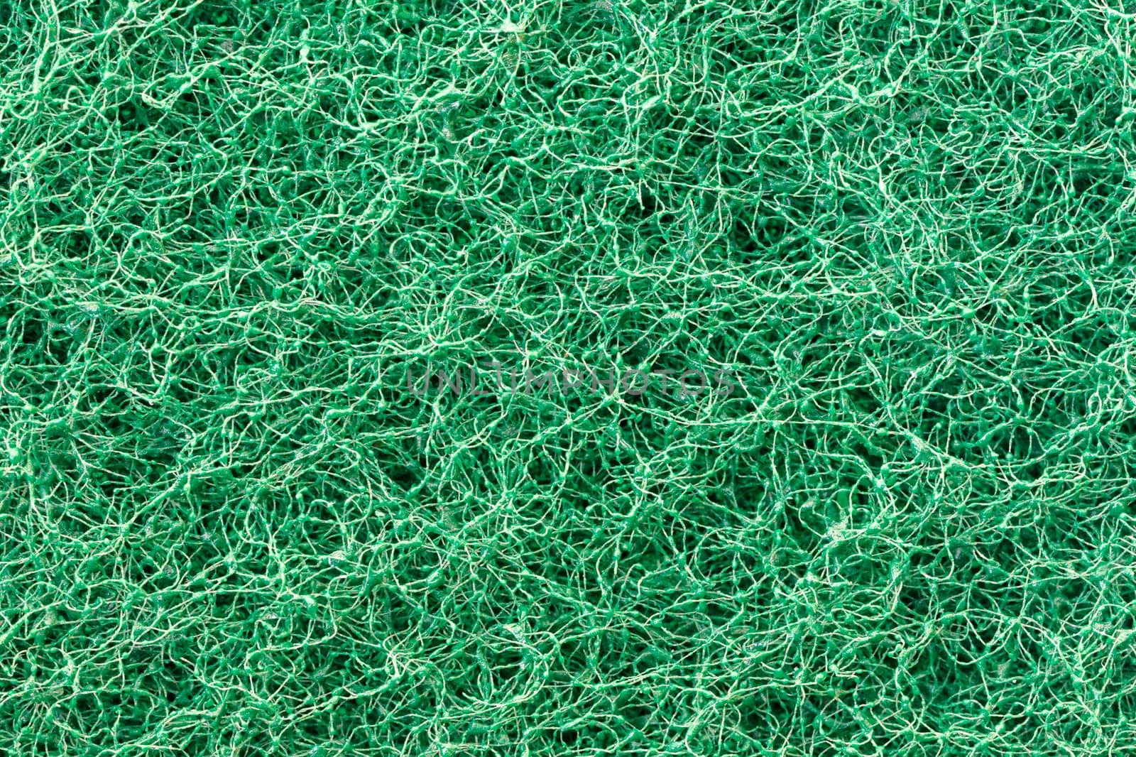 Green sponge detail texture, Abstract texture background