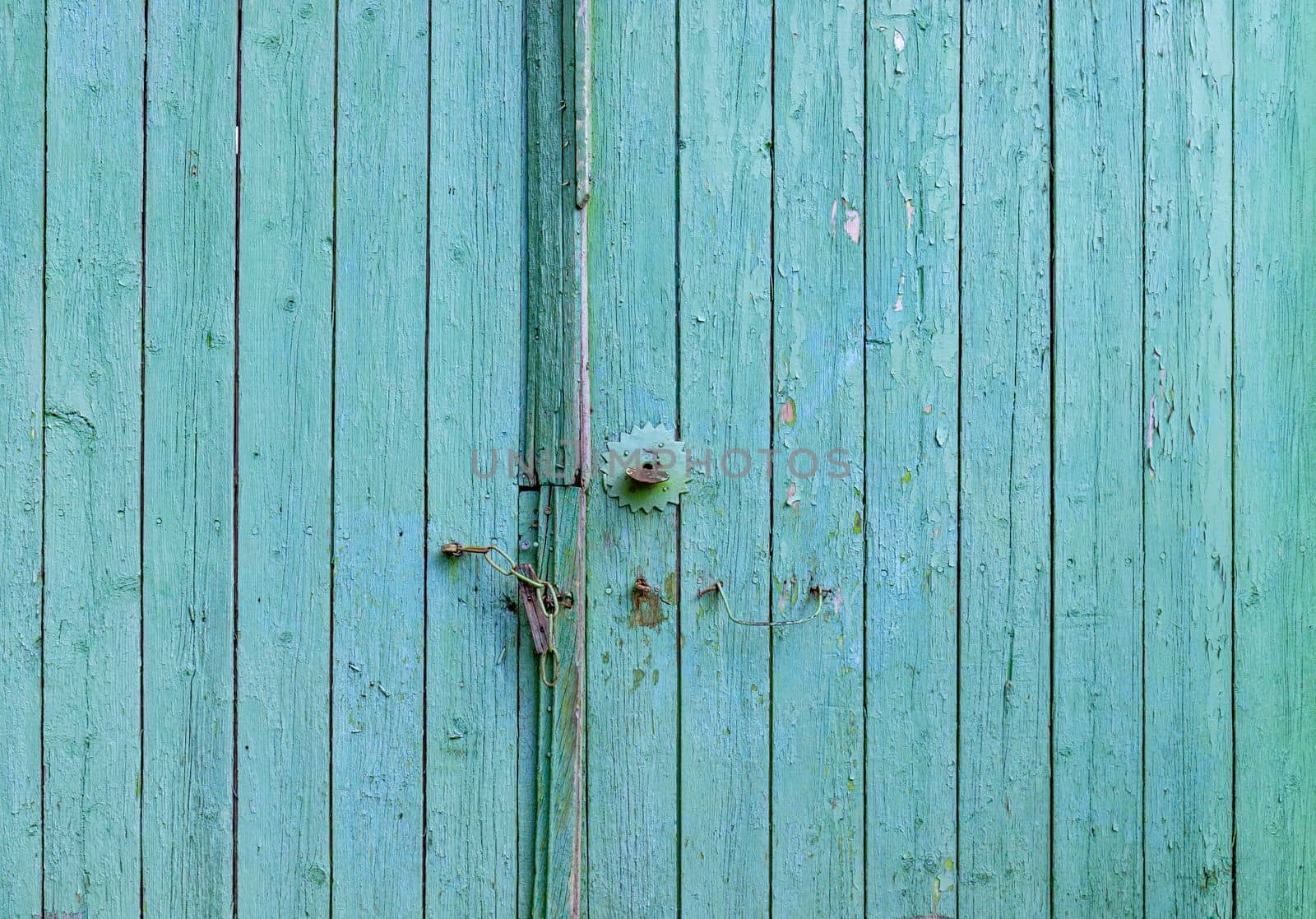 Old turquoise painted wood gate. Closed door background 