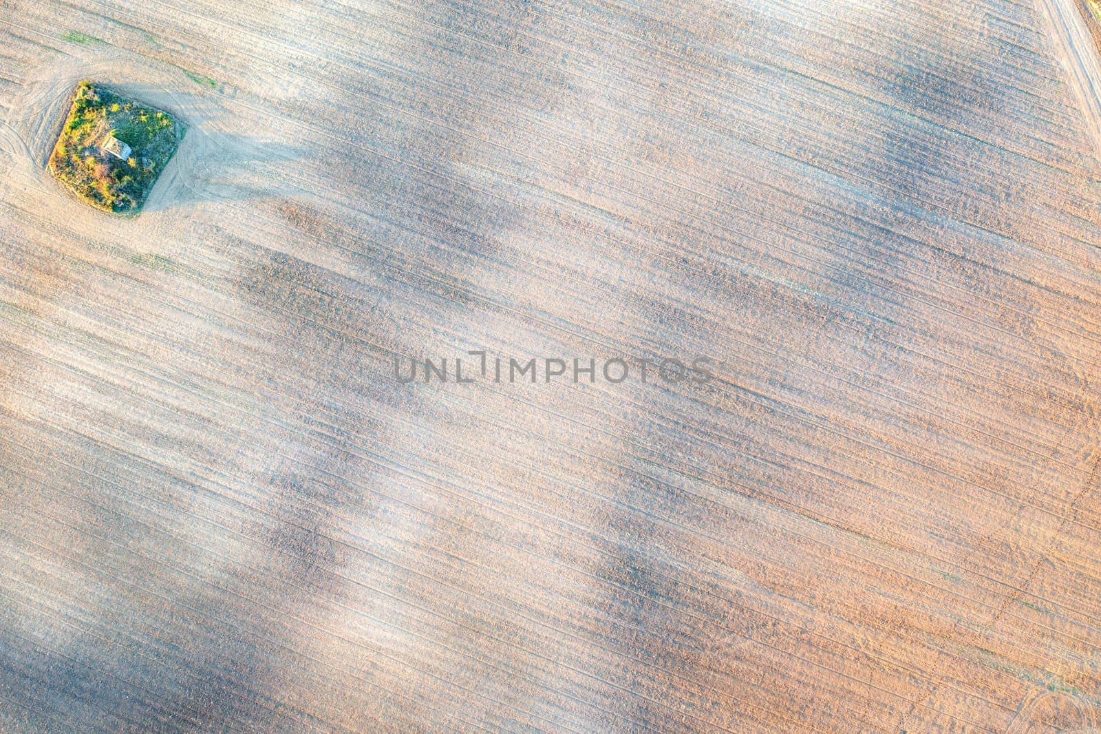 aerial view from a drone of a green point in the agricultural field after harvest