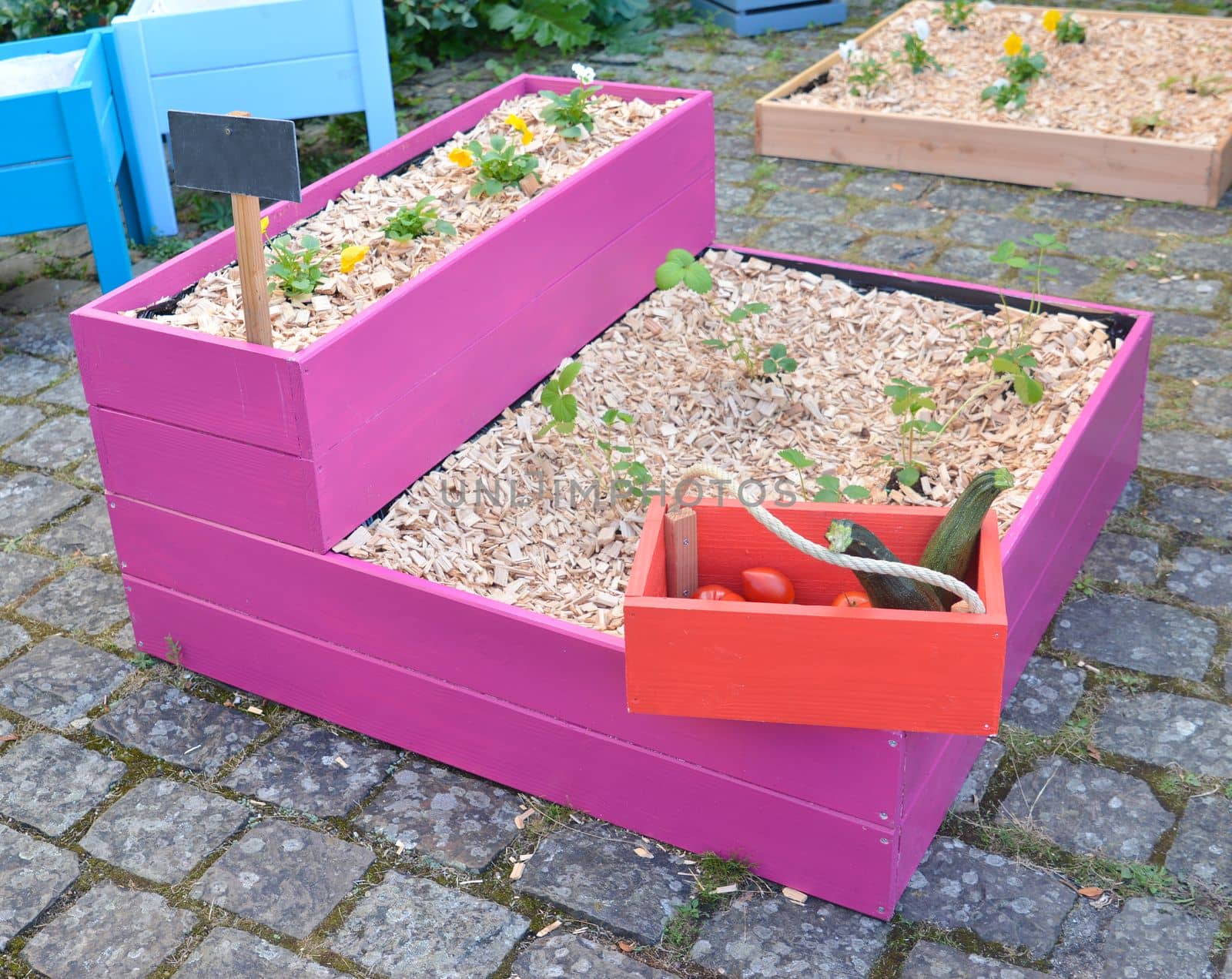 Presentation of big wood pot for planting .Srawberry and vegetables .