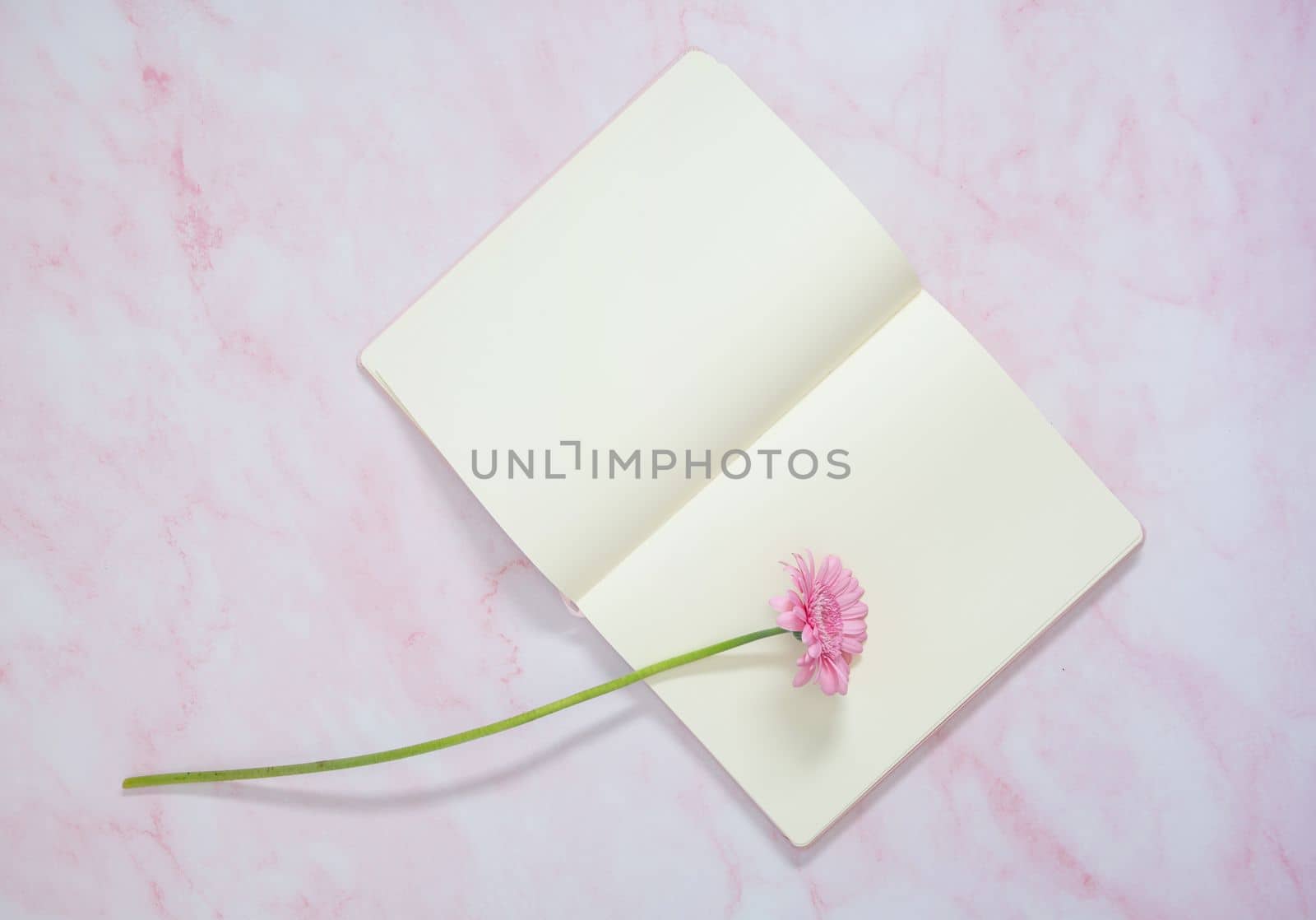 one pink gerbera and blank notebook on the table, gift for her, copy space by KaterinaDalemans