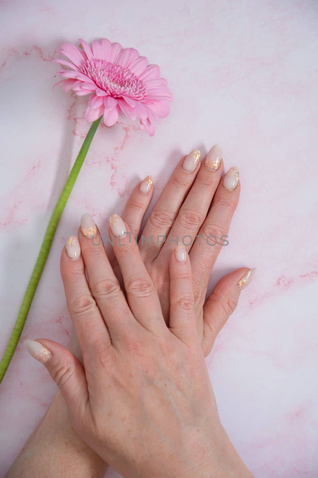 Hands of a woman with imperfect manicure with gel polish on a background of pink gerbera. High quality photo