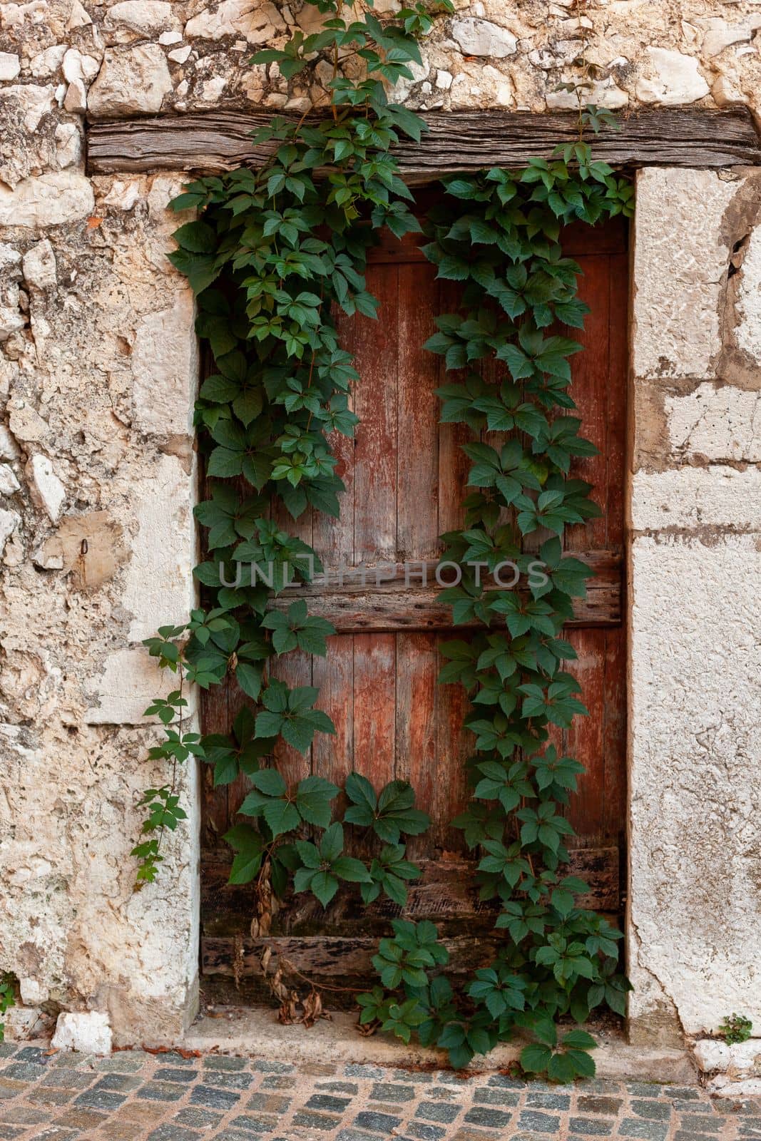 abandoned wooden door in an ancient building