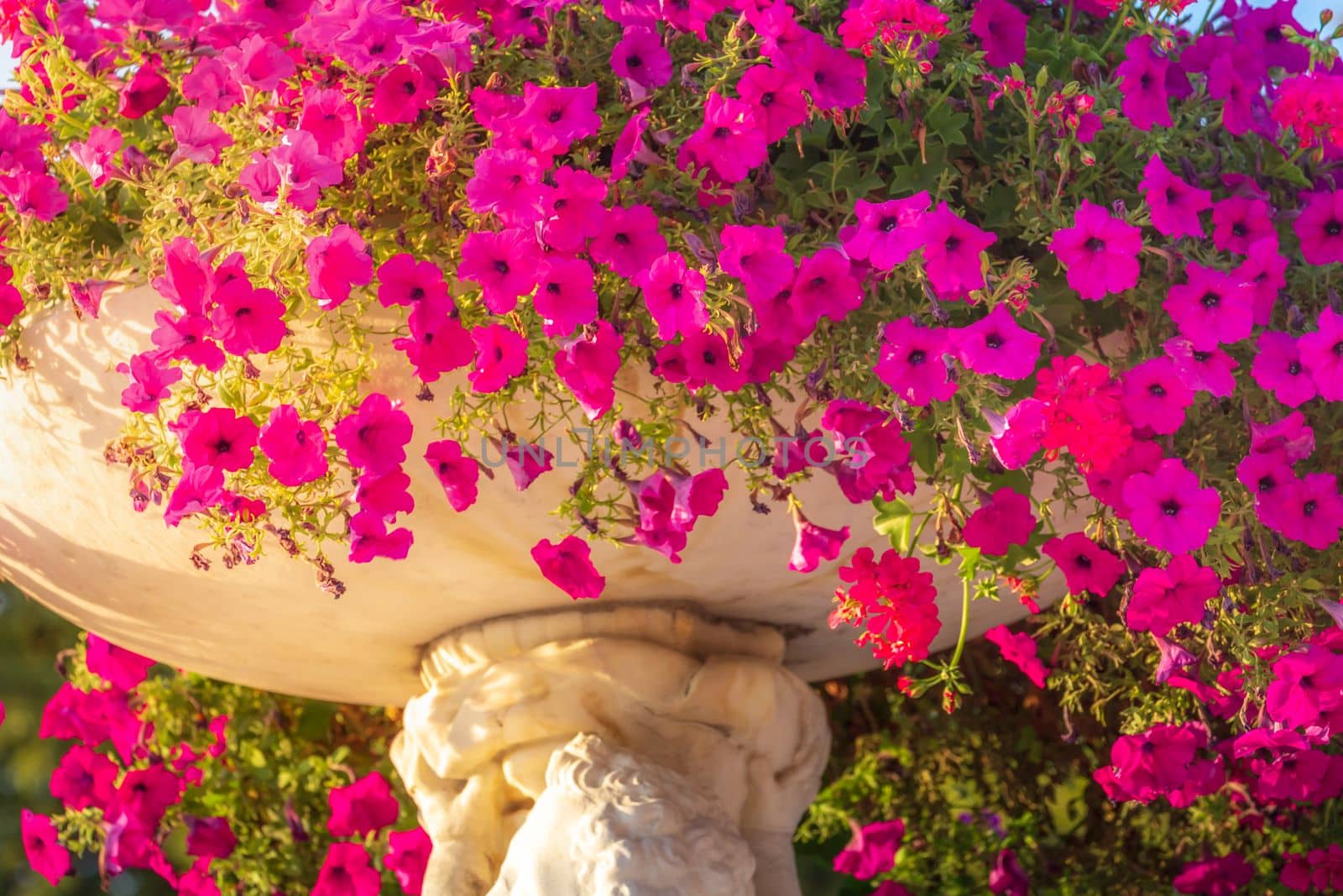 Delicate vase of flowers in a bloom, Luxembourg gardens at springtime sunset, France