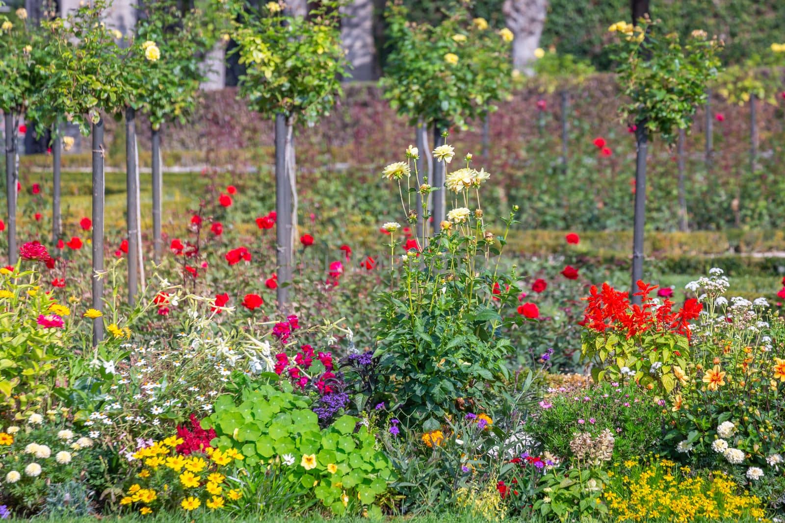 Colorful delicate flowers garden at golden sunset, idyllic landscape in Giverny, France