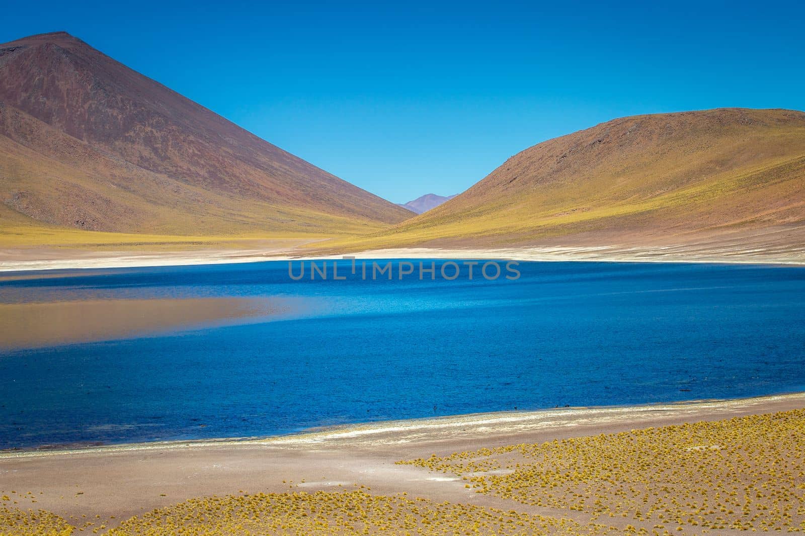 Salt lake Laguna Miniques, and idyllic volcanic landscape at sunrise, Atacama desert, Chile border with Bolivia