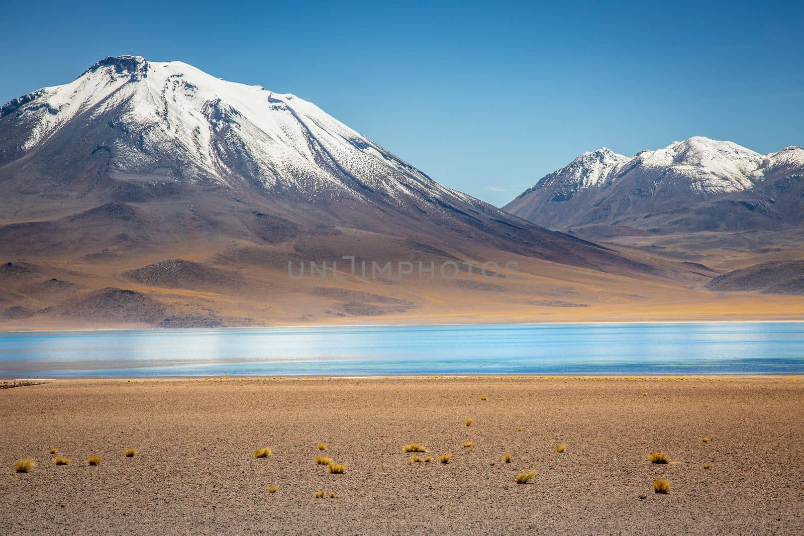Salt lake Laguna Miscanti, and idyllic volcanic landscape at sunrise, Atacama desert, Chile border with Bolivia