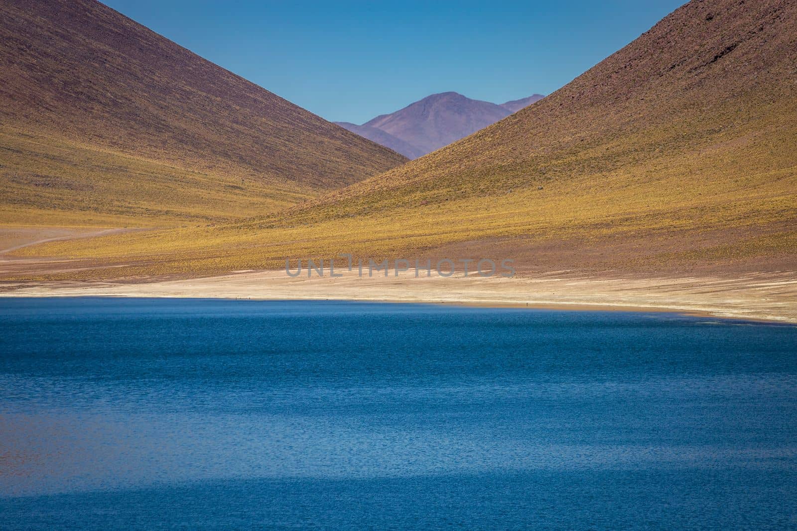 Salt lake Laguna Miniques, and idyllic volcanic landscape at sunrise, Atacama desert, Chile border with Bolivia