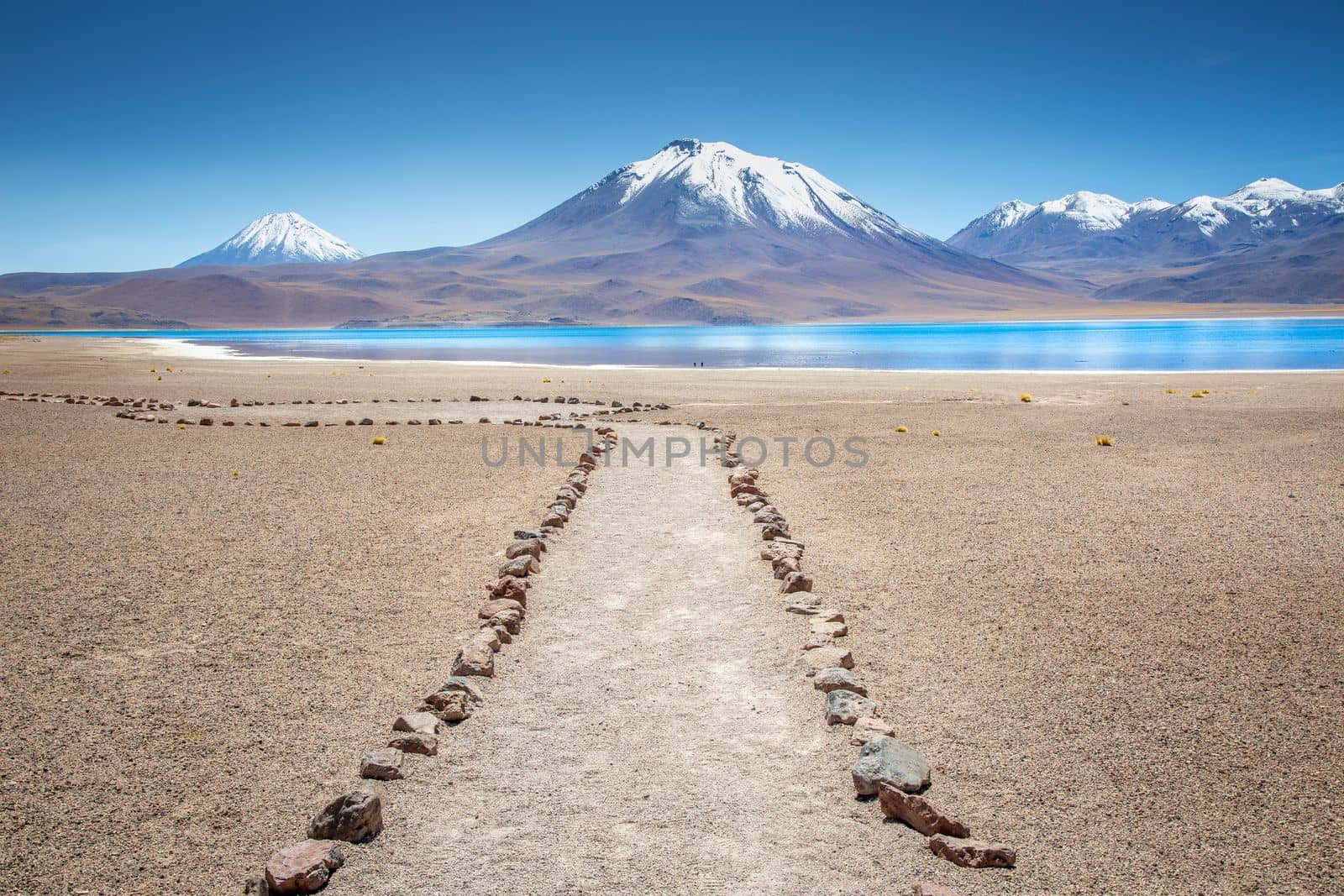 Salt lake Laguna Miscanti, and idyllic volcanic landscape at sunrise, Atacama desert, Chile border with Bolivia