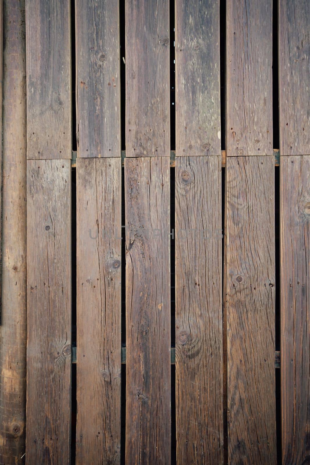 Vertical. Brown wood texture background from natural tree. by papatonic
