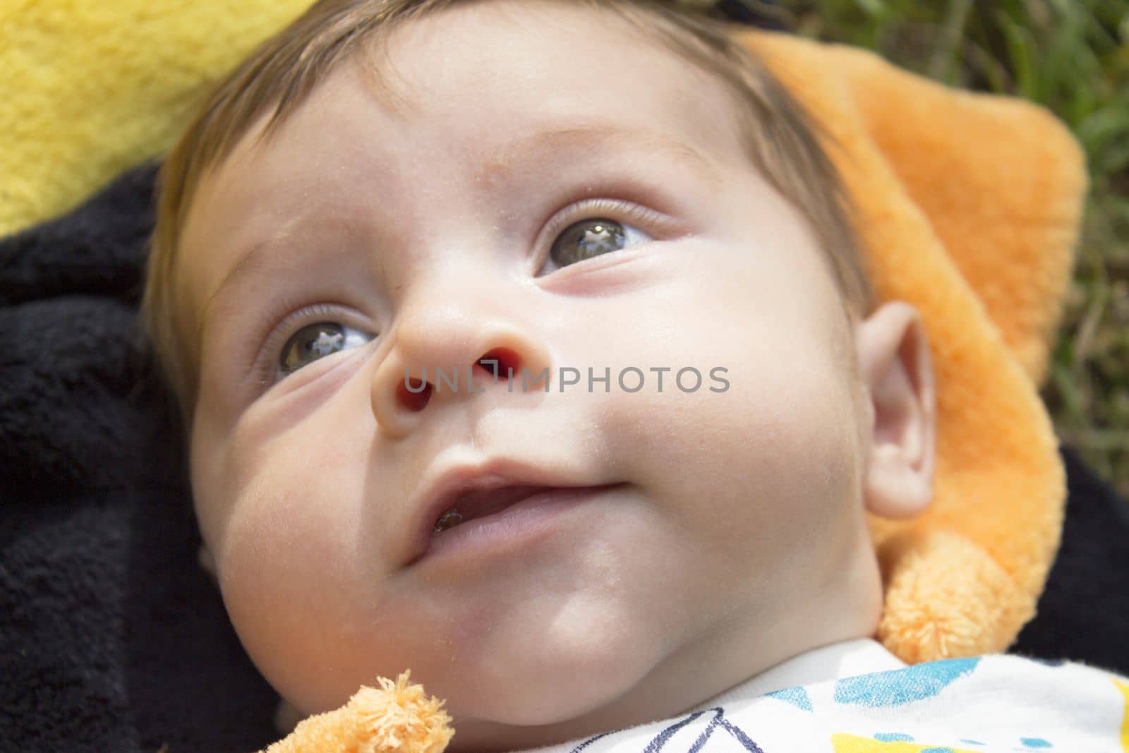 Two month old baby portrait. Happy expression