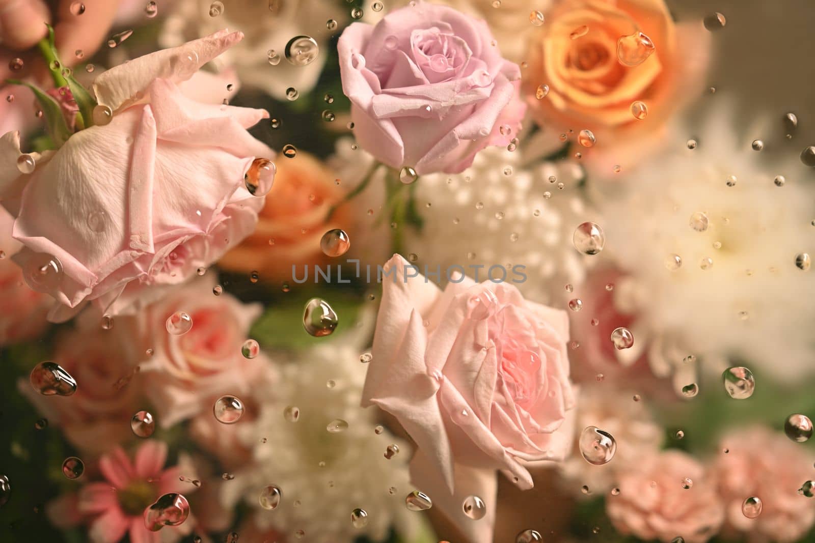 Beautiful delicate flowers inside cold foggy glass, floral botanical wallpaper that looks like flowers are trapped in screen.