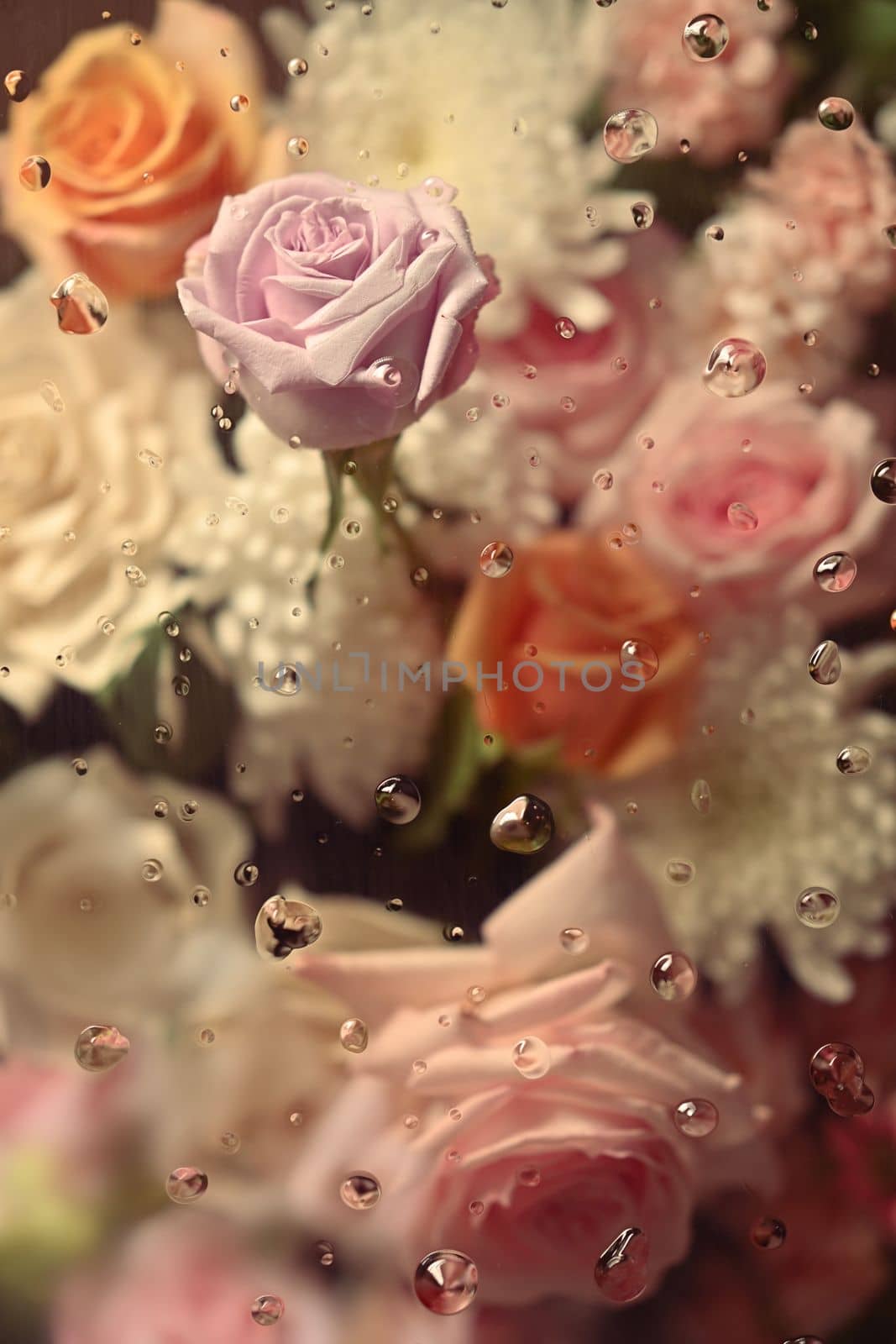 Colorful spring flowers inside cold foggy glass with dripping water drop, for textiles, paper or floral botanical wallpaper.