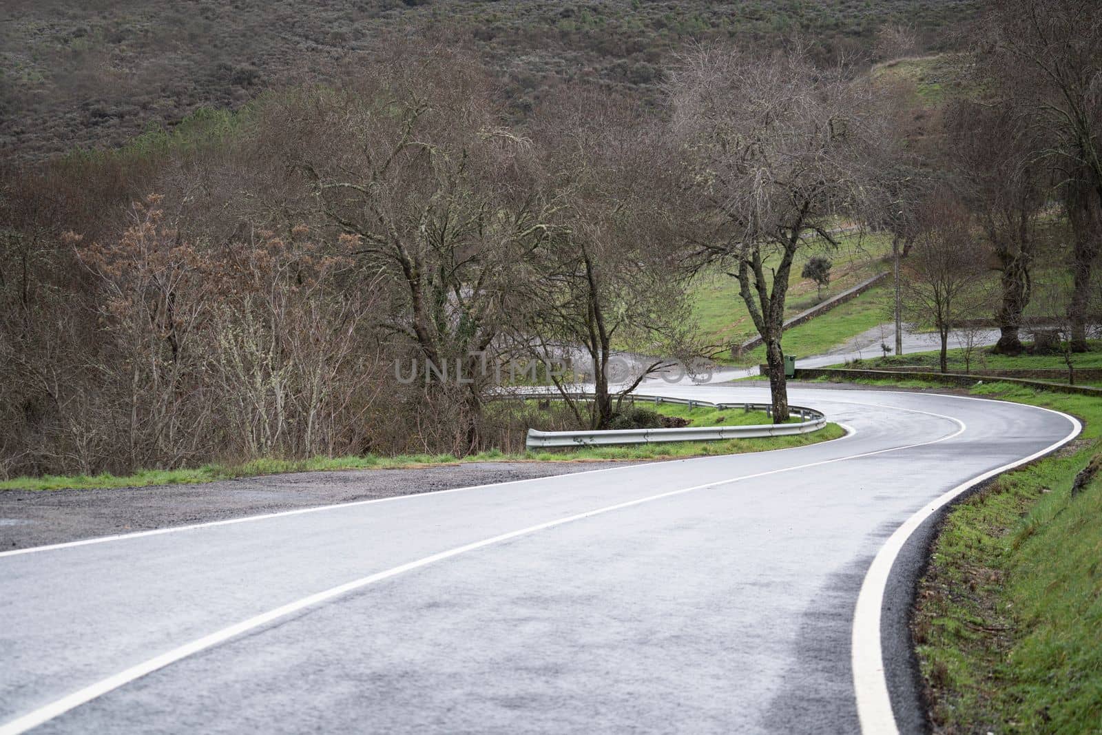 Plain wet road in forest.