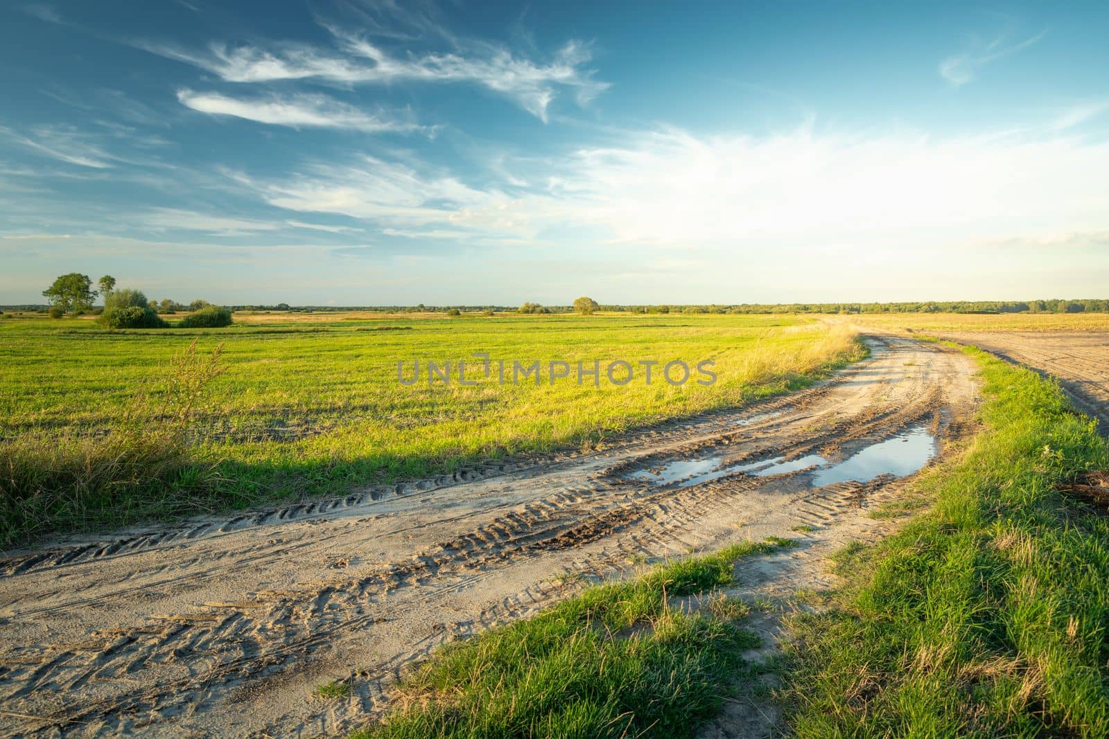 Sandy road with a puddle through rural fields and white clouds on the blue sky, Czulczyce, Lubelskie, Poland