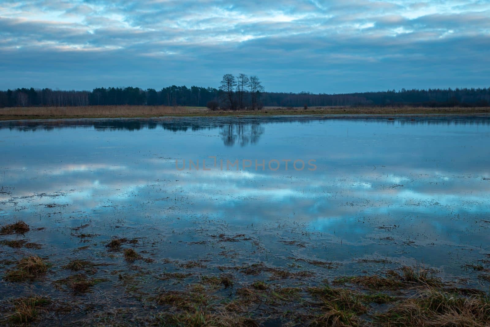 The reflection of the sky in the water on a meadow in Czulczyce, eastern Poland