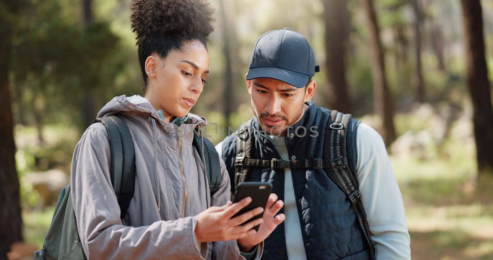 Hiking, smartphone and travel couple with location search, online travel guide or nature journey planning together in a forest on 5g network. Backpack trekking people using phone mobile app in woods.