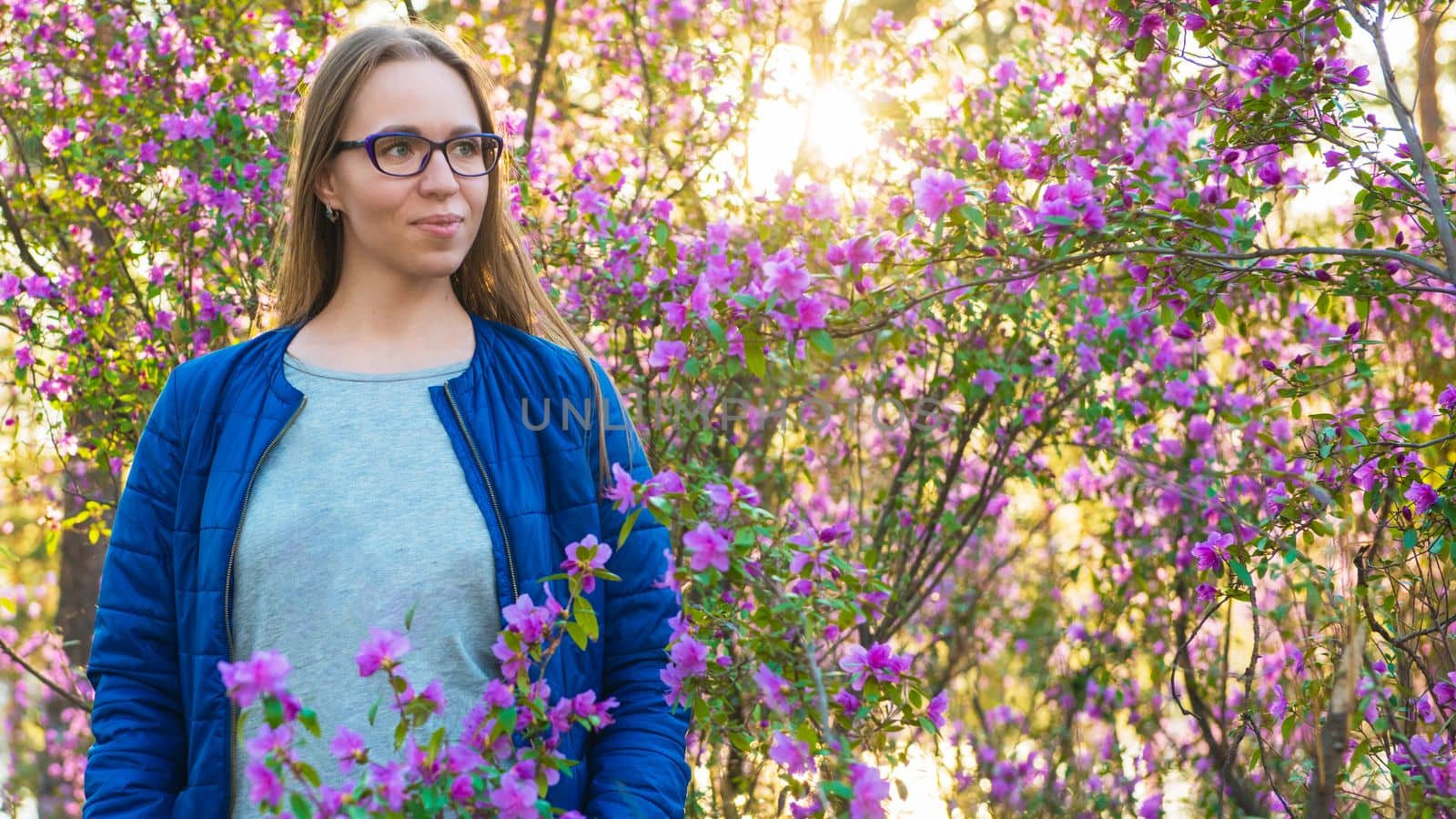 Woman travelling in Altai mountains on spring beautiful booming pink Rhododendron flowers background