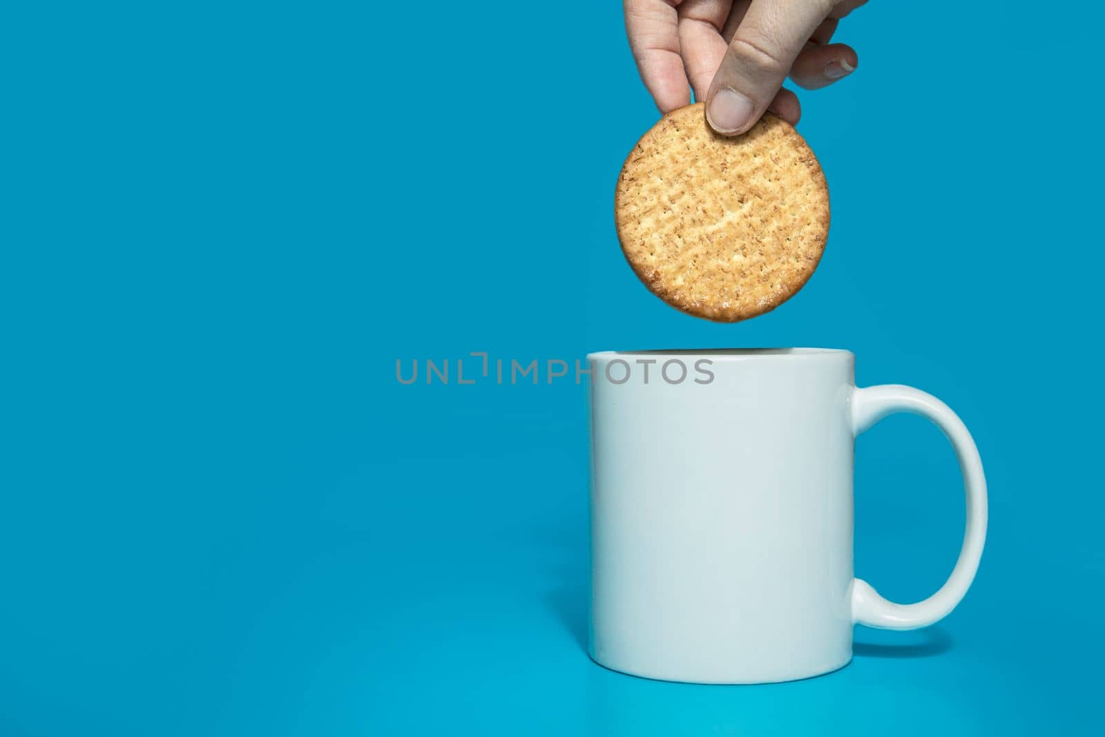 Female hand dipping normal healthy grain cookies in white mug of milk on blue background, copy space.Dairy,drink concept tasty snack