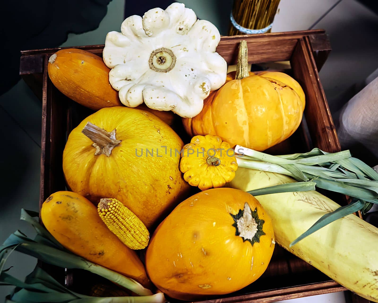 Autumn harvest, pumpkins, zucchini and green onions. Vegetables are in a wooden box.