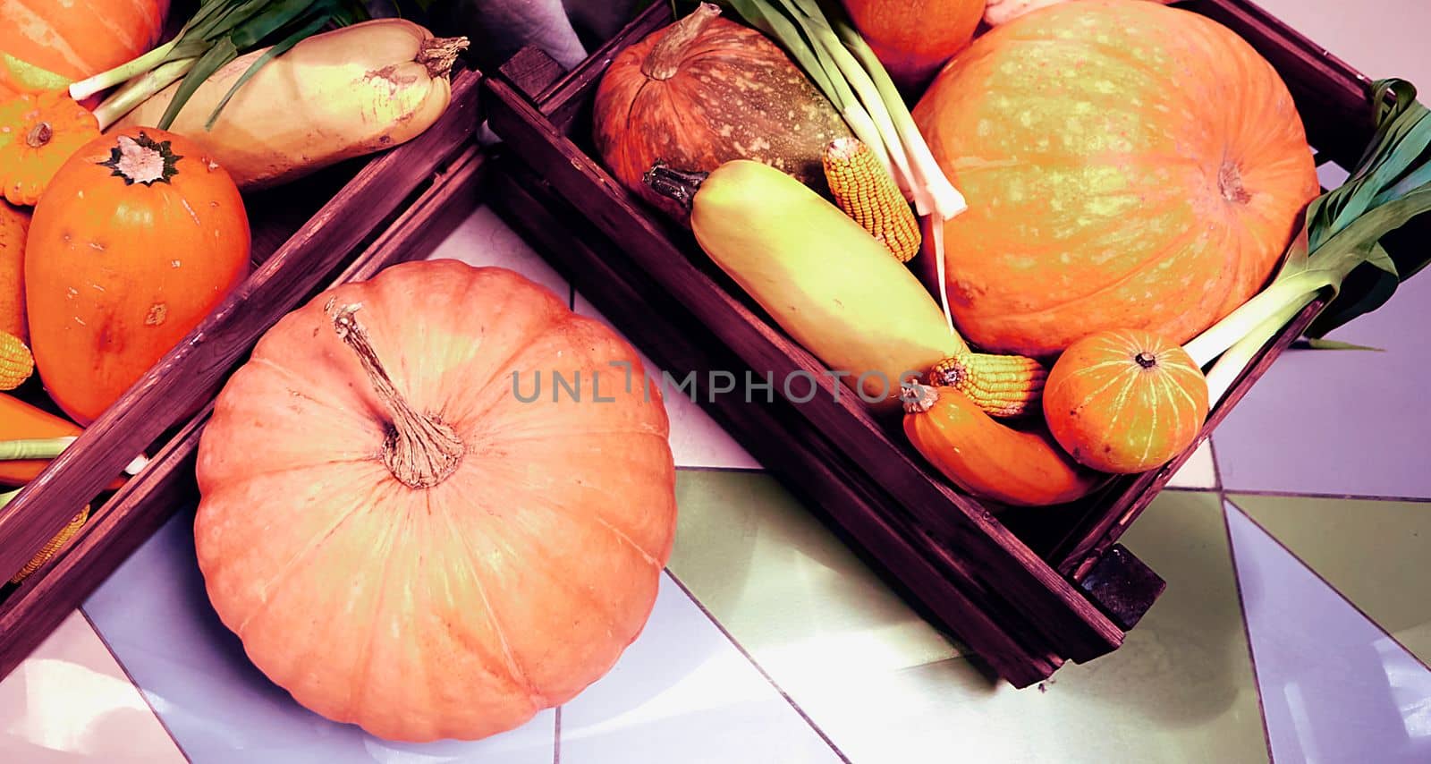 Autumn harvest, pumpkins, zucchini and green onions. Vegetables are in a wooden box.