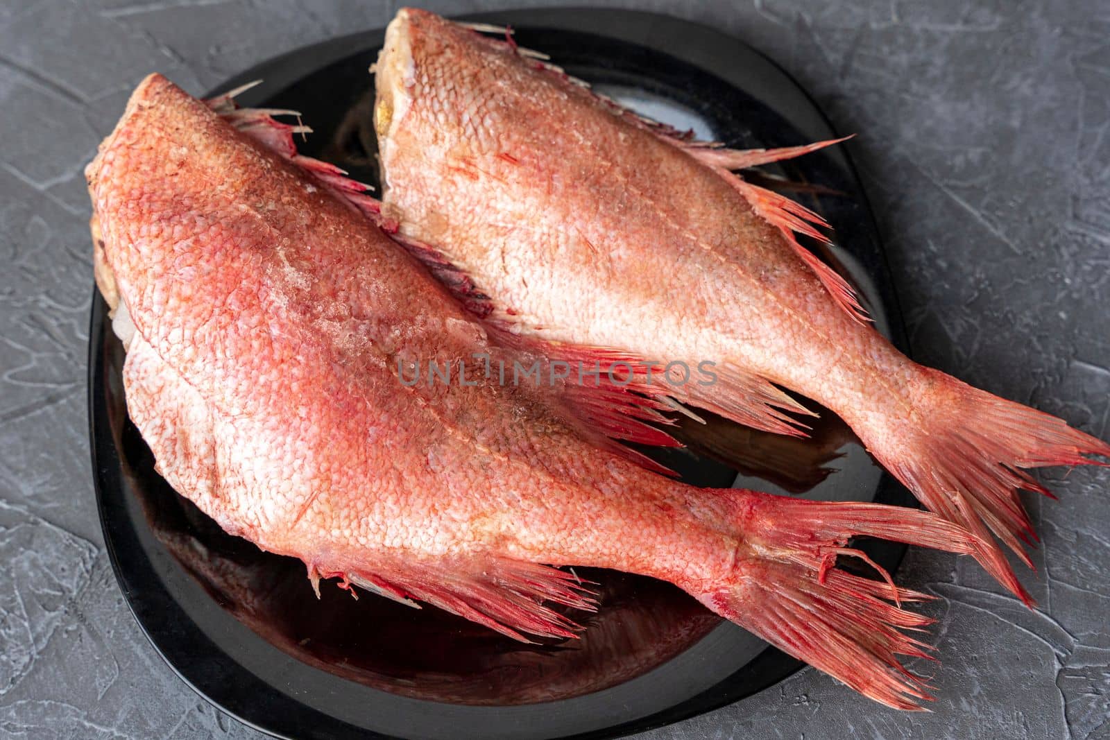 Two frozen headless carcasses of red sea bass, covered with frost on a plate. Kitchen. Fish diet