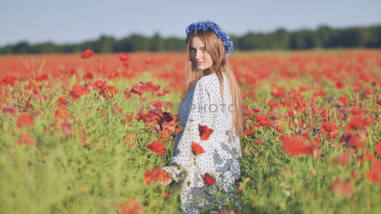 Ukrainian girl walking through a red poppy field
