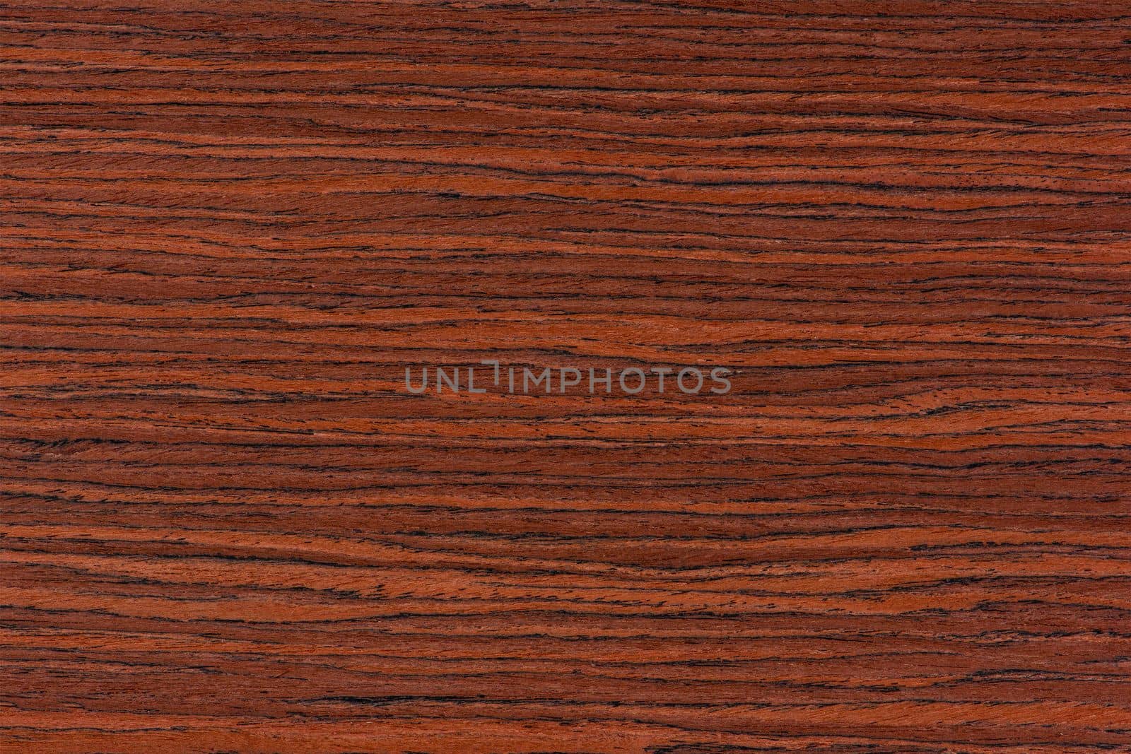 Rosewood texture. Texture of dark mahogany with an intense pattern, natural rosewood veneer for the production of furniture or yacht decoration.