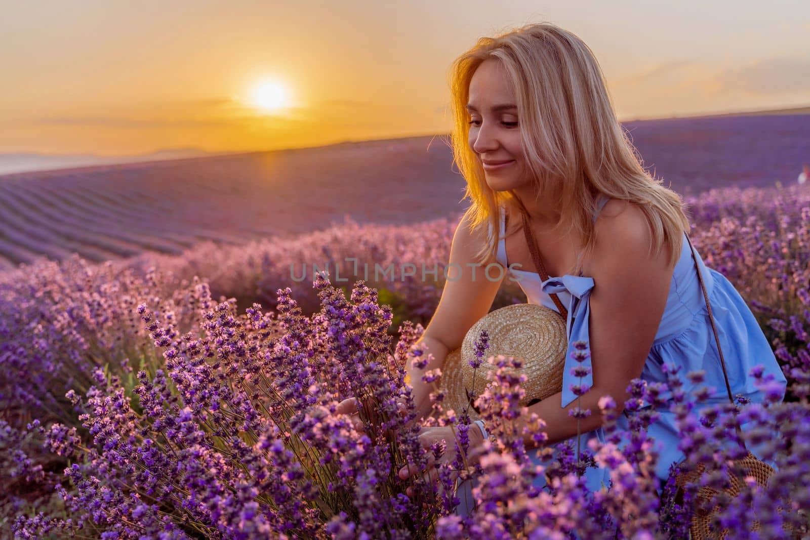 Woman lavender field sunset. Romantic woman walks through the lavender fields. illuminated by sunset sunlight. She is wearing a blue dress with a hat. by Matiunina