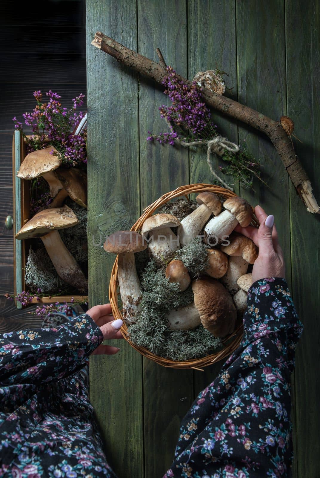 woman cleans porcini mushrooms in a basket top view harvest of autumn forest mushrum. High quality photo