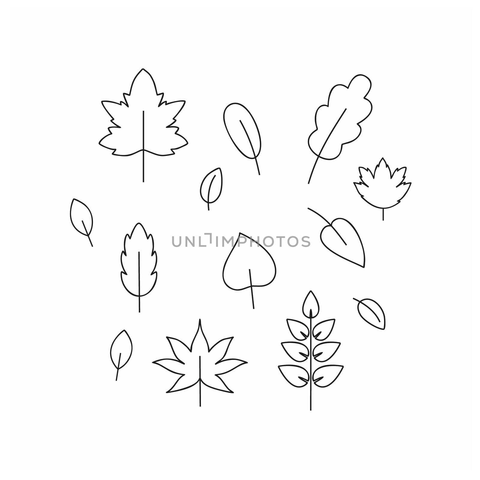 Set of contour Doodle drawings autumn leaves, twigs, berries. Black outline sketch by hand summer and spring. Design of postcards, photos, design and decor elements. Vector illustration.