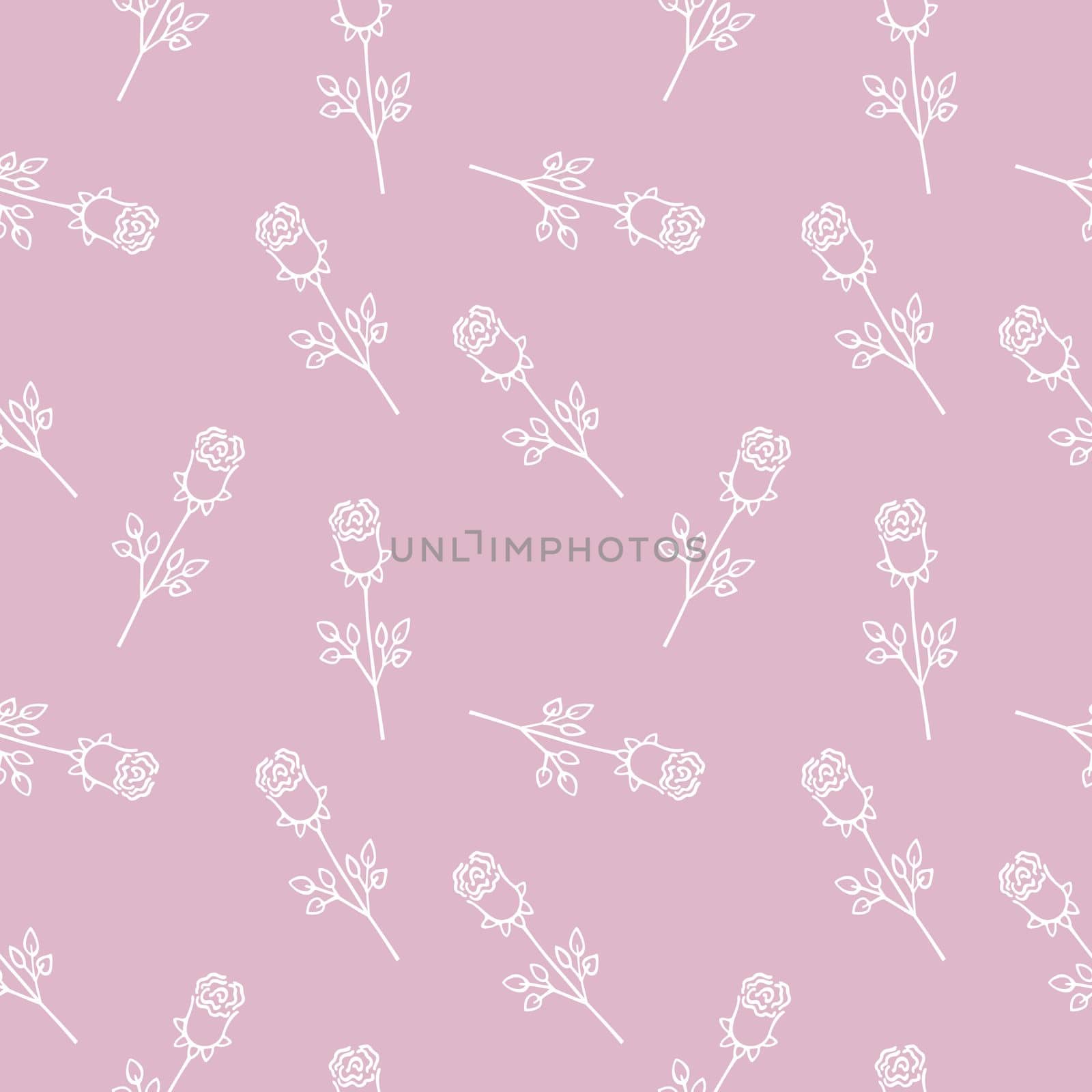 White roses on a pink background. Vector Doodle illustration. Endless seamless pattern with rose flower outline. Background for textiles, wrappers, website or web page design on the Internet.