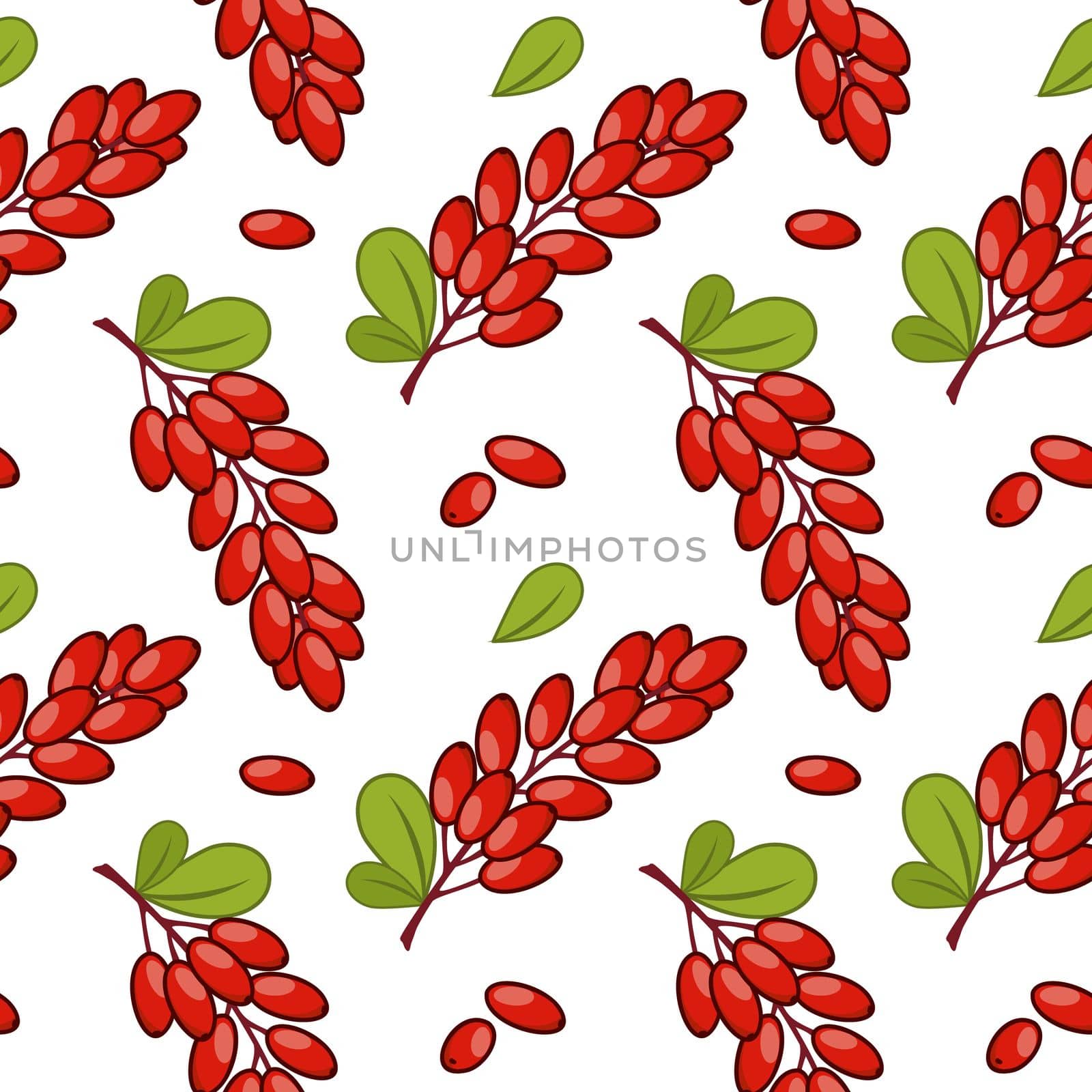 Seamless pattern with a pattern of barberry twigs. Vector background for wrapping paper. Print for clothing . The print on the fabric. by polinka_art