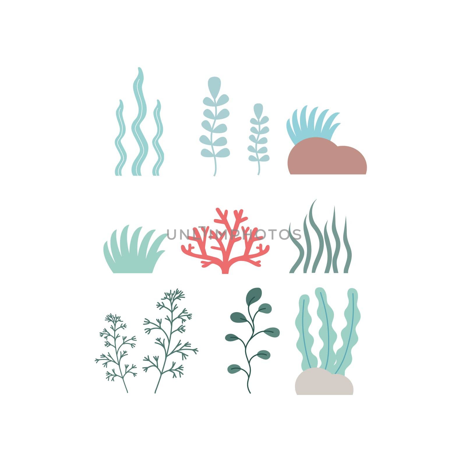 Set of seaweed and coral on a white background. Clipart algae and marine plants, set of icons. Cartoon vector illustration. by polinka_art