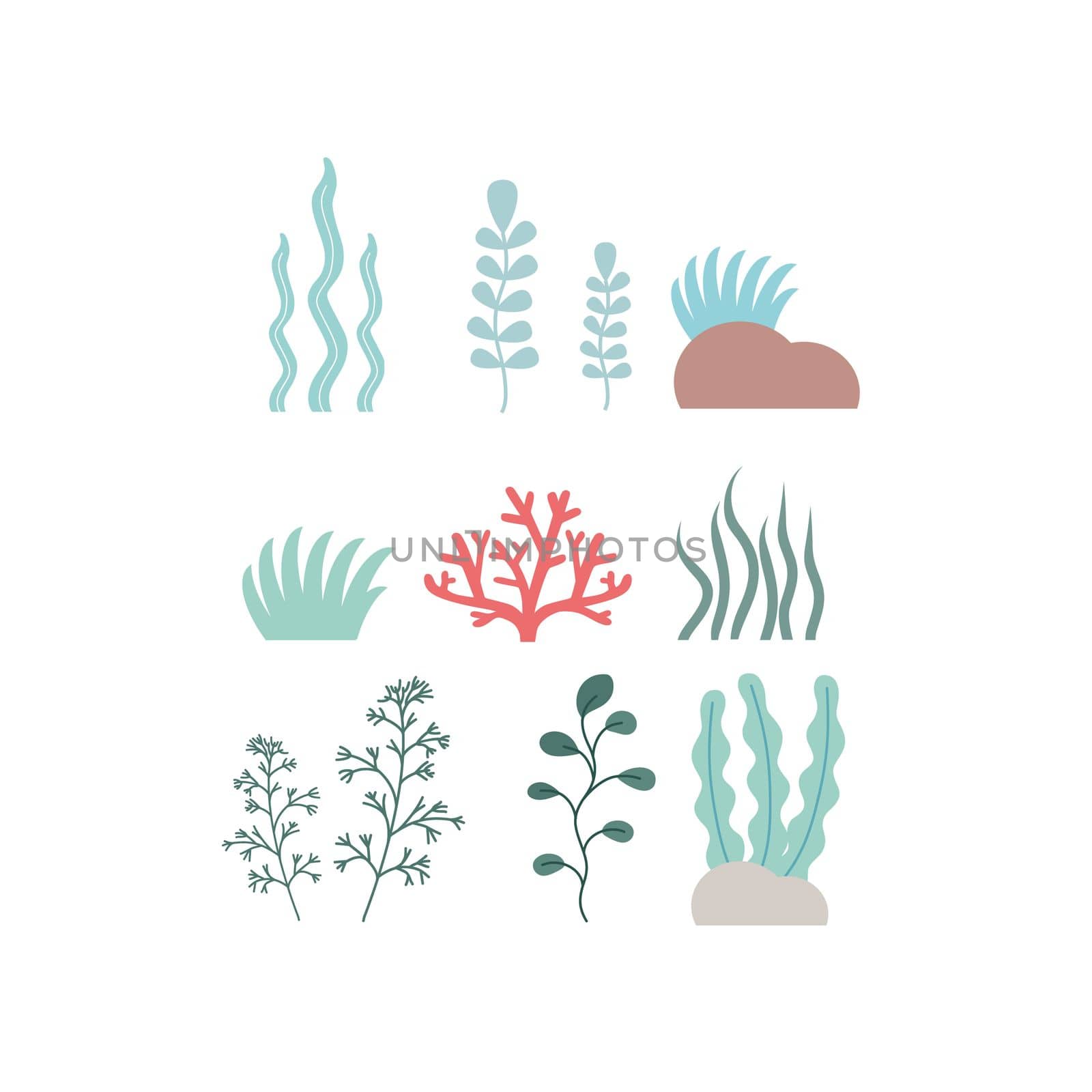 Set of seaweed and coral on a white background. Clipart algae and marine plants, set of icons. Cartoon vector illustration.