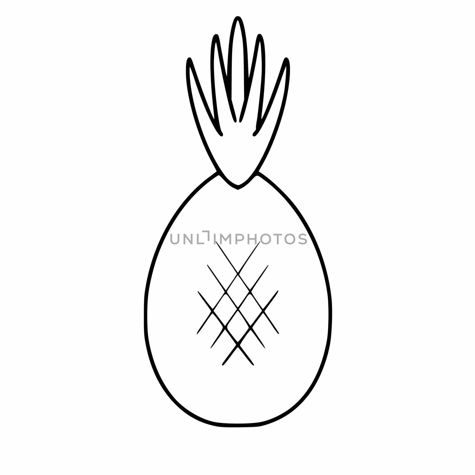 Pineapple in Doodle style. Vector illustration of a pineapple by hand. Summer fruits and vegetables. by polinka_art