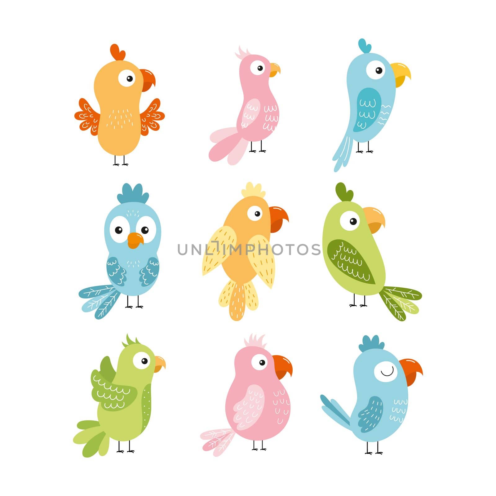 A set with cute parrots for children.