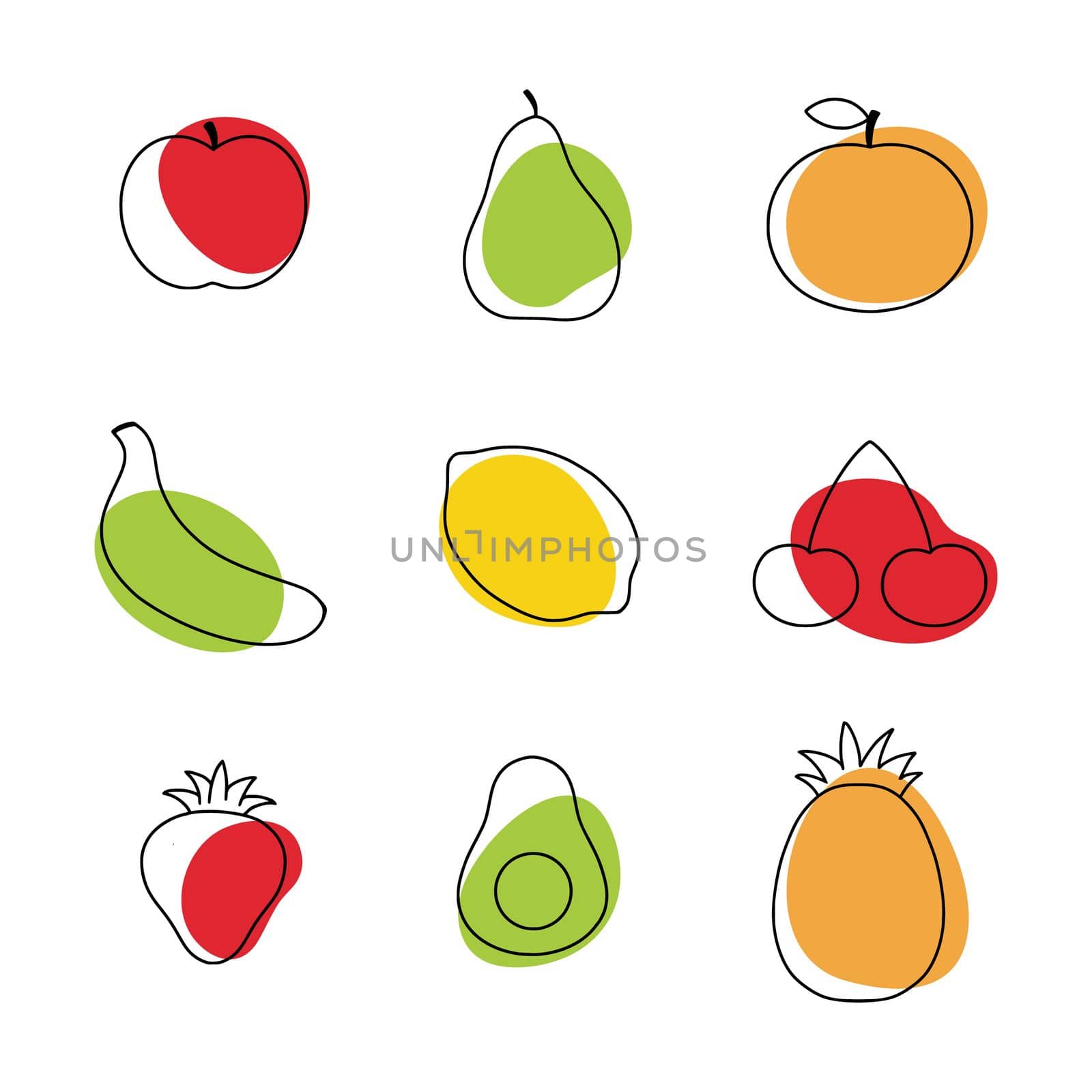 Fruit and berries in the style of doodle. A linear drawing with healthy fruits.